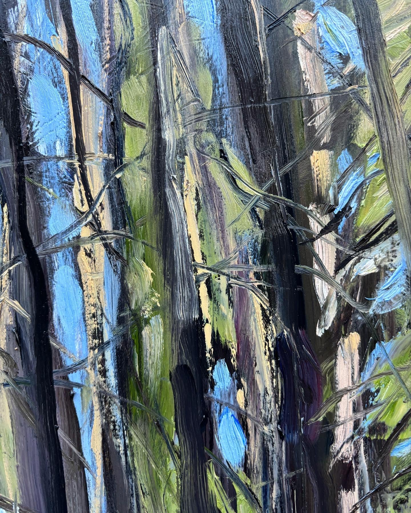 Sisters Hill Woods, March 12th 2024