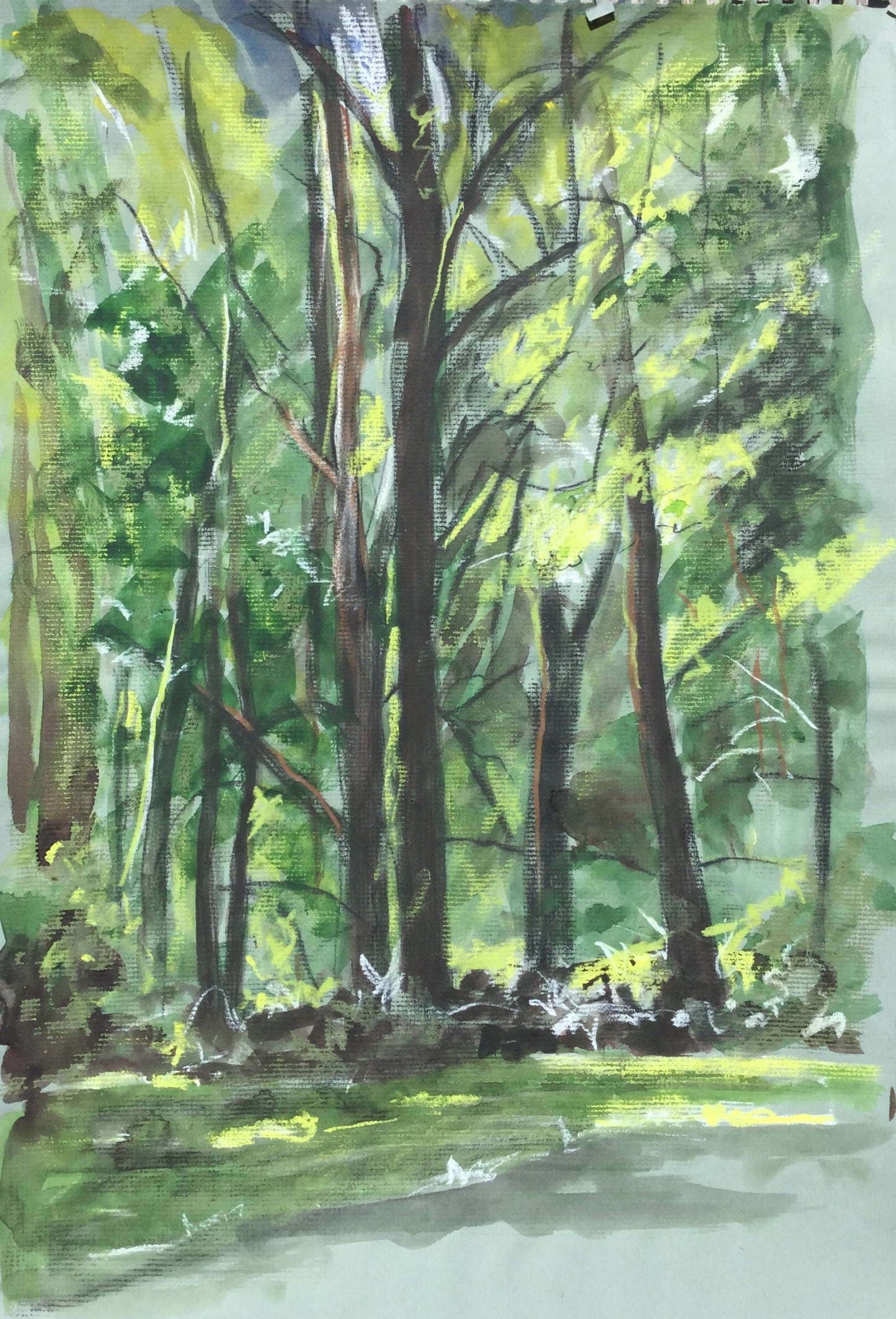 Spring Light, 2014