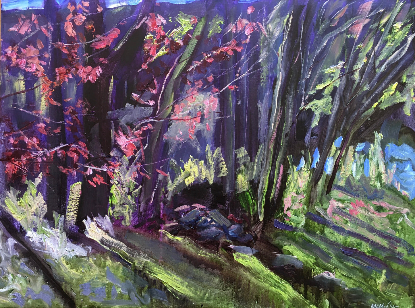 In Front of the Kitchen, Acer, Early Morning, May 2nd, 2020