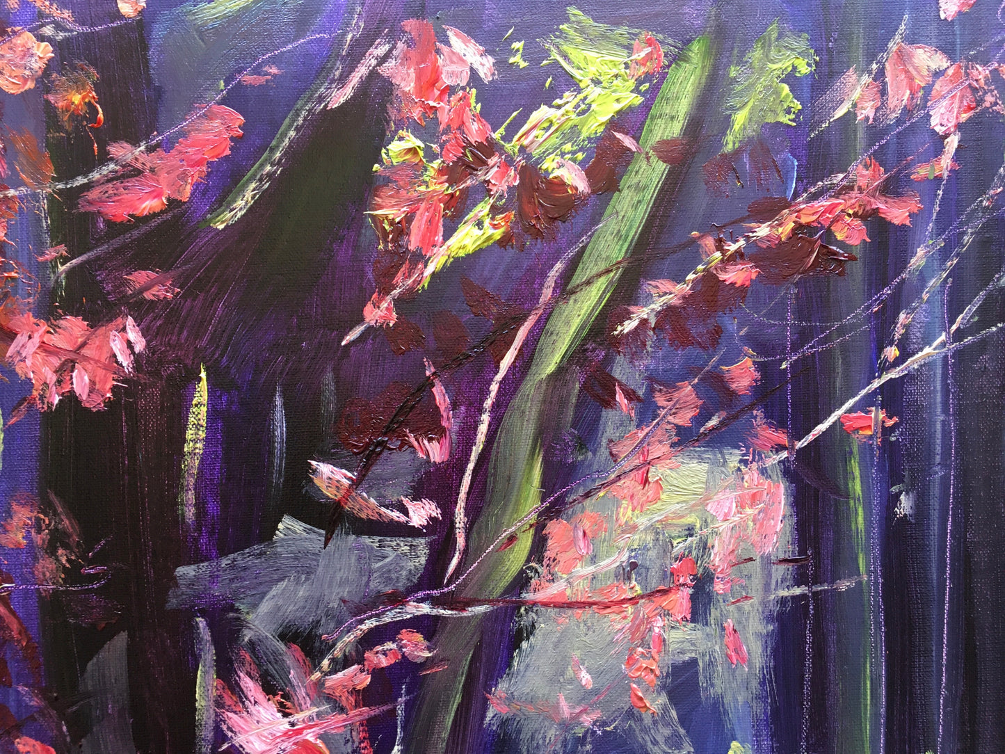 In Front of the Kitchen, Acer, Early Morning, May 2nd, 2020