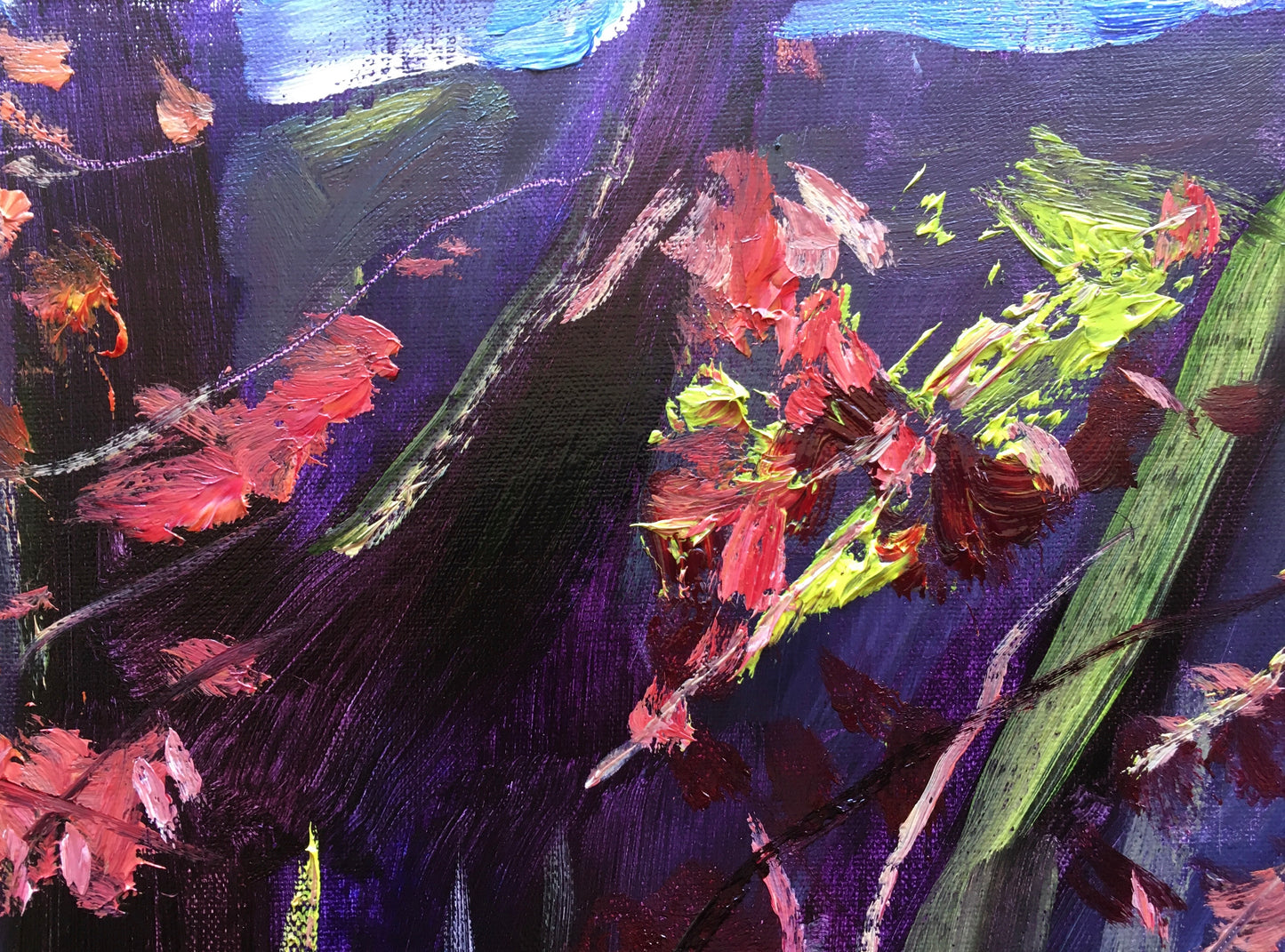 In Front of the Kitchen, Acer, Early Morning, May 2nd, 2020