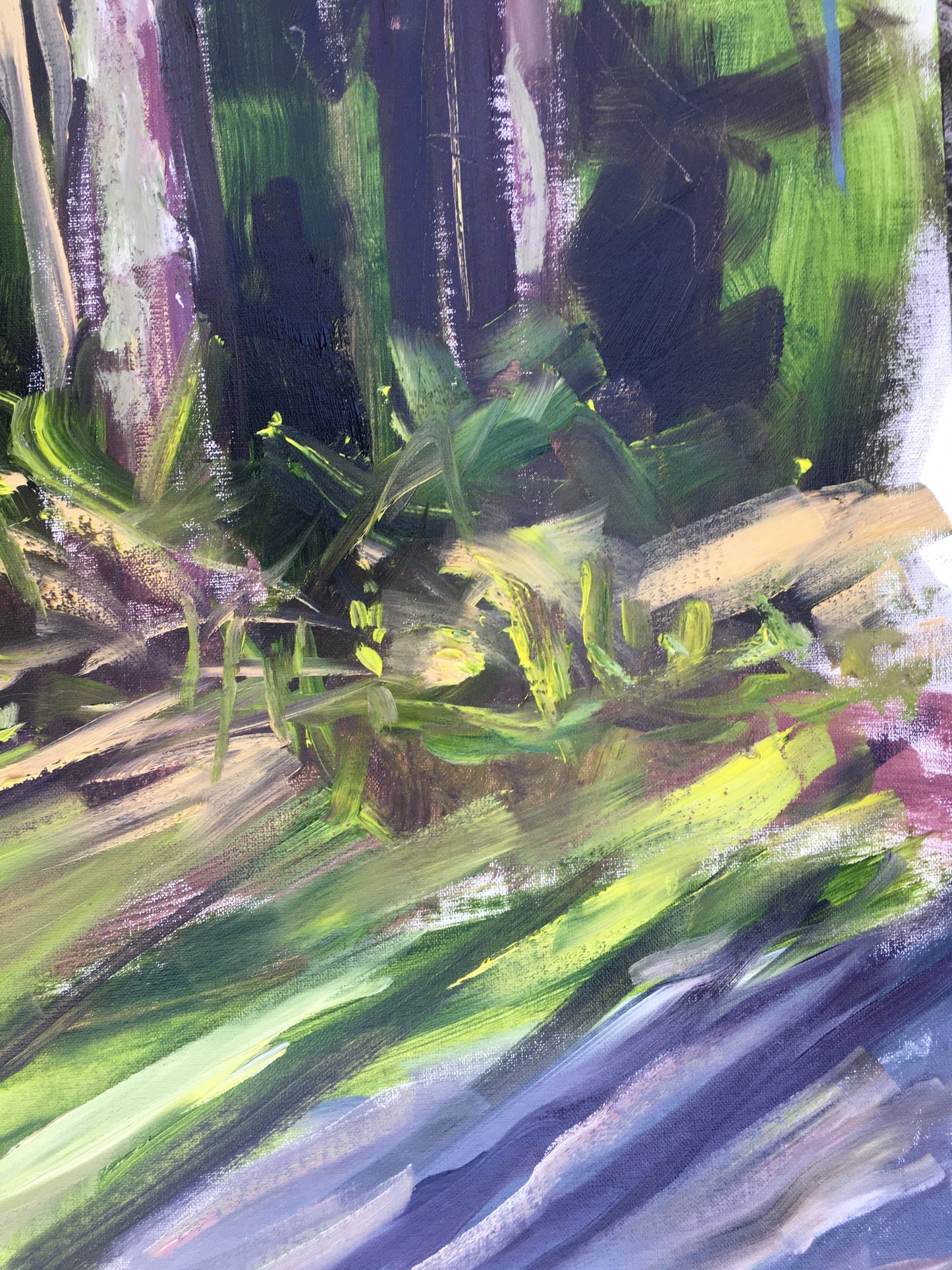Trees, 9:00 am, May 7th, 2020