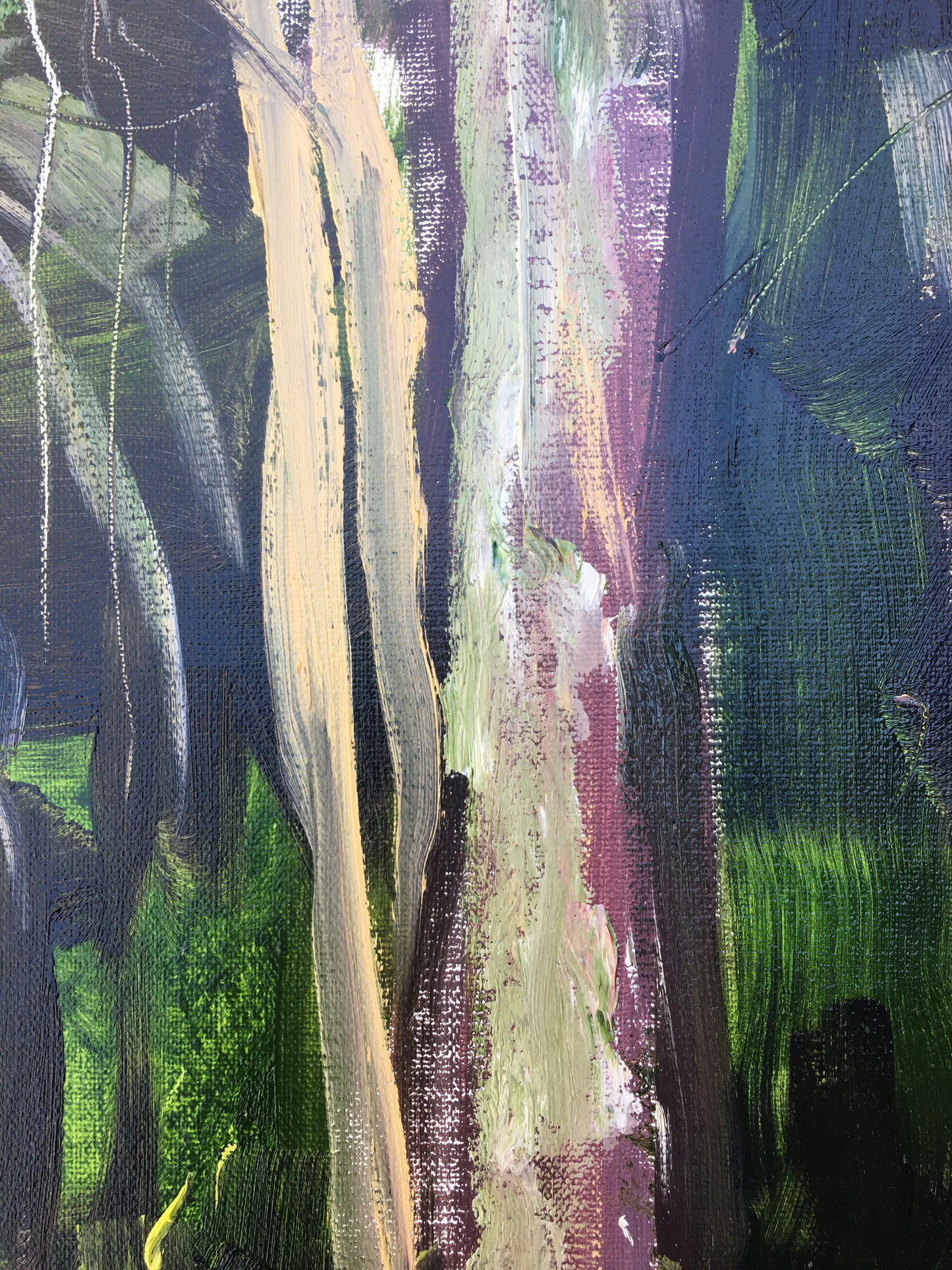 Trees, 9:00 am, May 7th, 2020