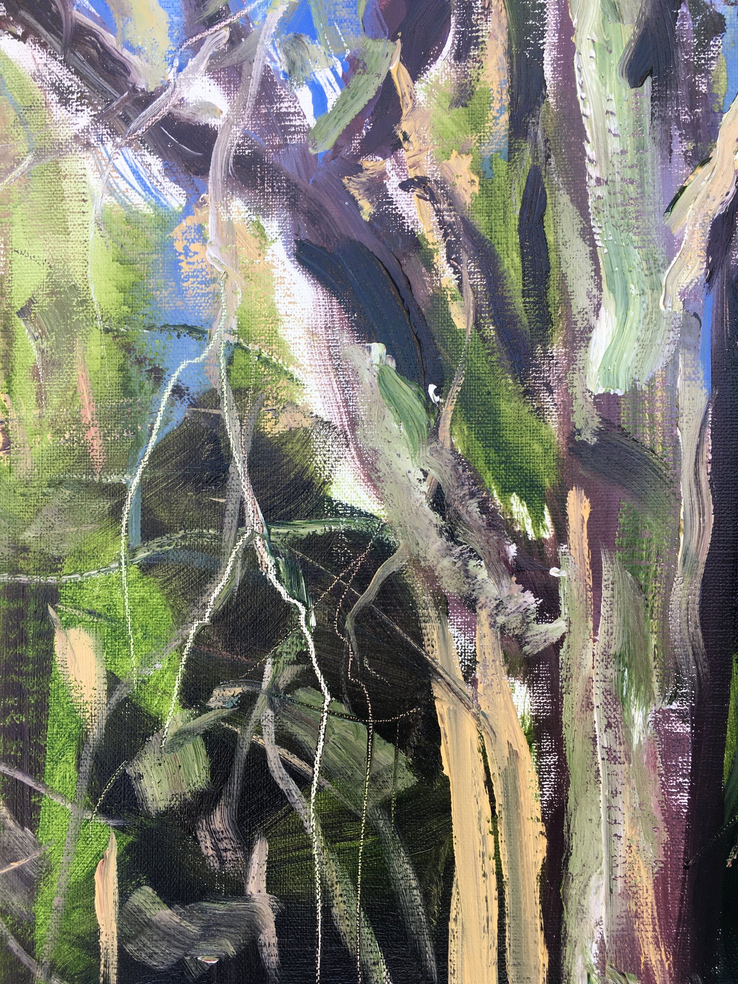 Trees, 9:00 am, May 7th, 2020