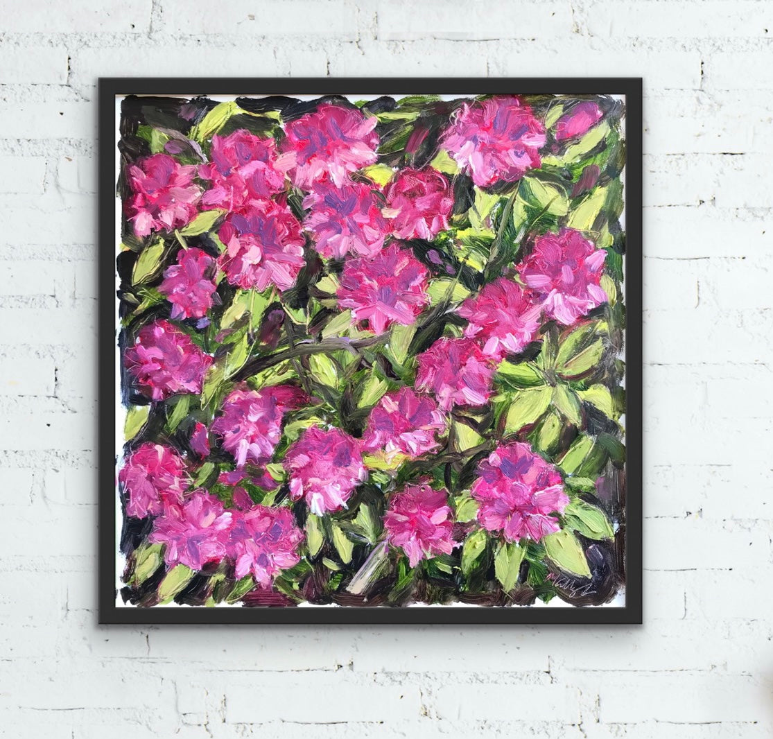 Rhododendrons, Memorial Day, 2023