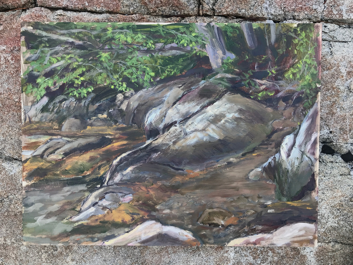 Big Rocks, Dutch Neck Park, Maine, July 14th 2021