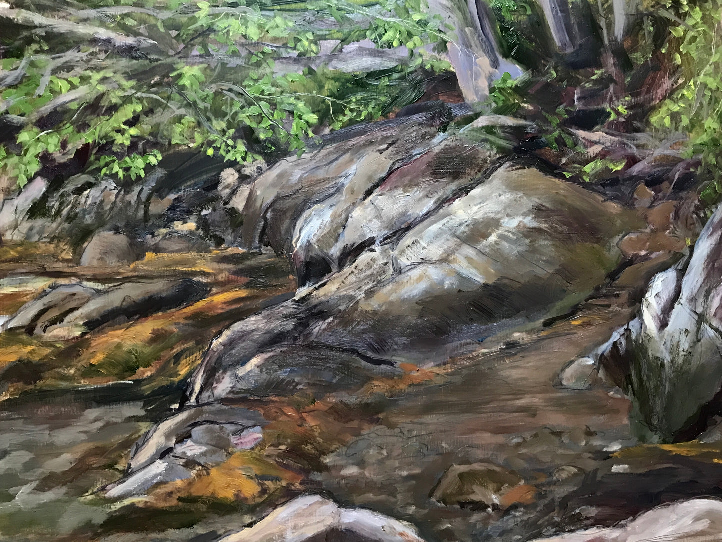 Big Rocks, Dutch Neck Park, Maine, July 14th 2021