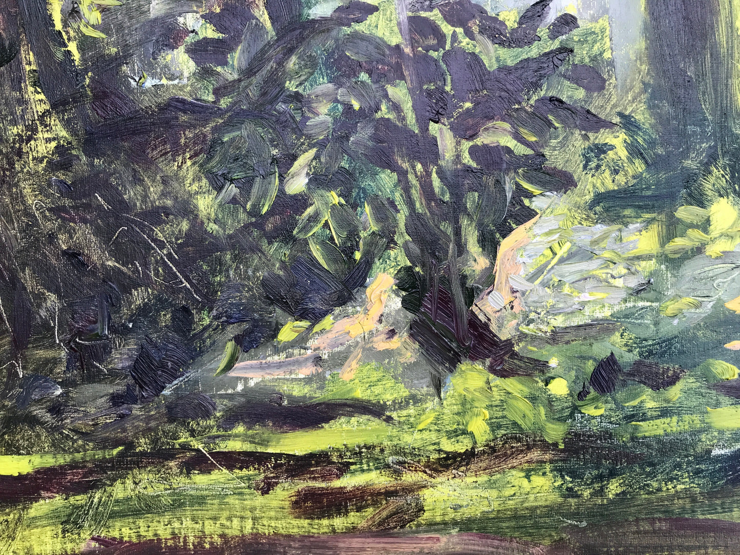 Undergrowth, Late Afternoon, July 31st, 2021