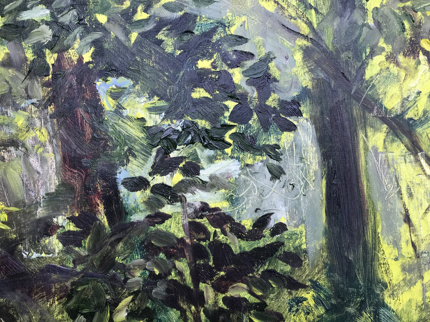 Undergrowth, Late Afternoon, July 31st, 2021
