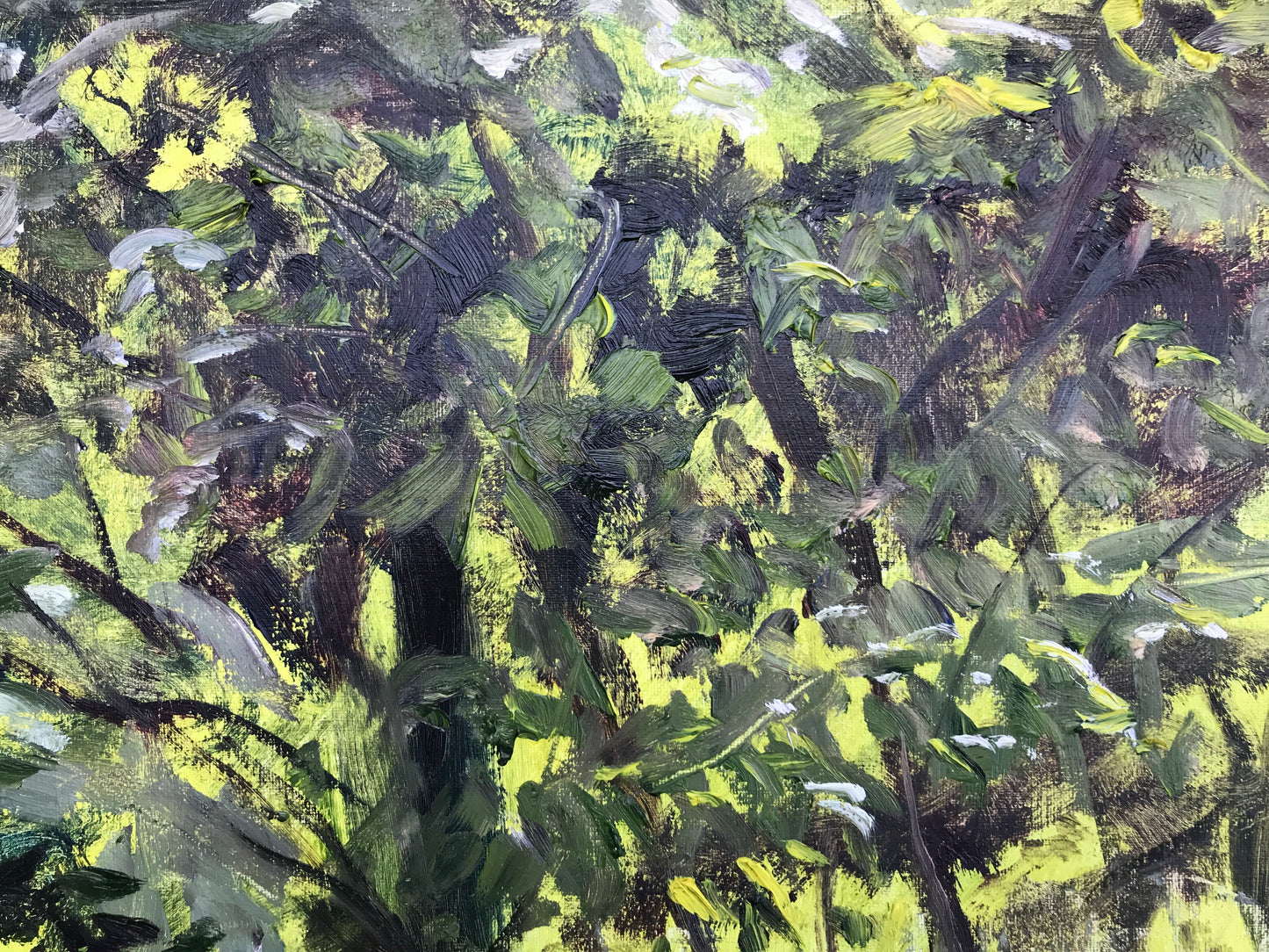 Undergrowth, Late Afternoon, July 31st, 2021