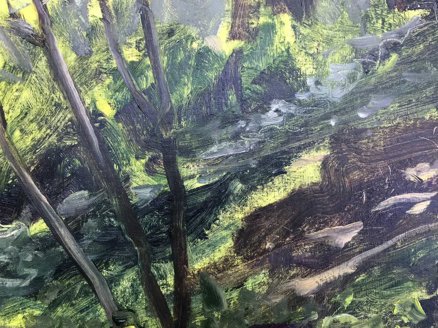 Undergrowth, Late Afternoon, July 31st, 2021