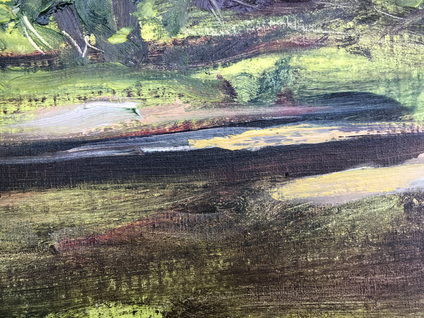 Undergrowth, Late Afternoon, July 31st, 2021