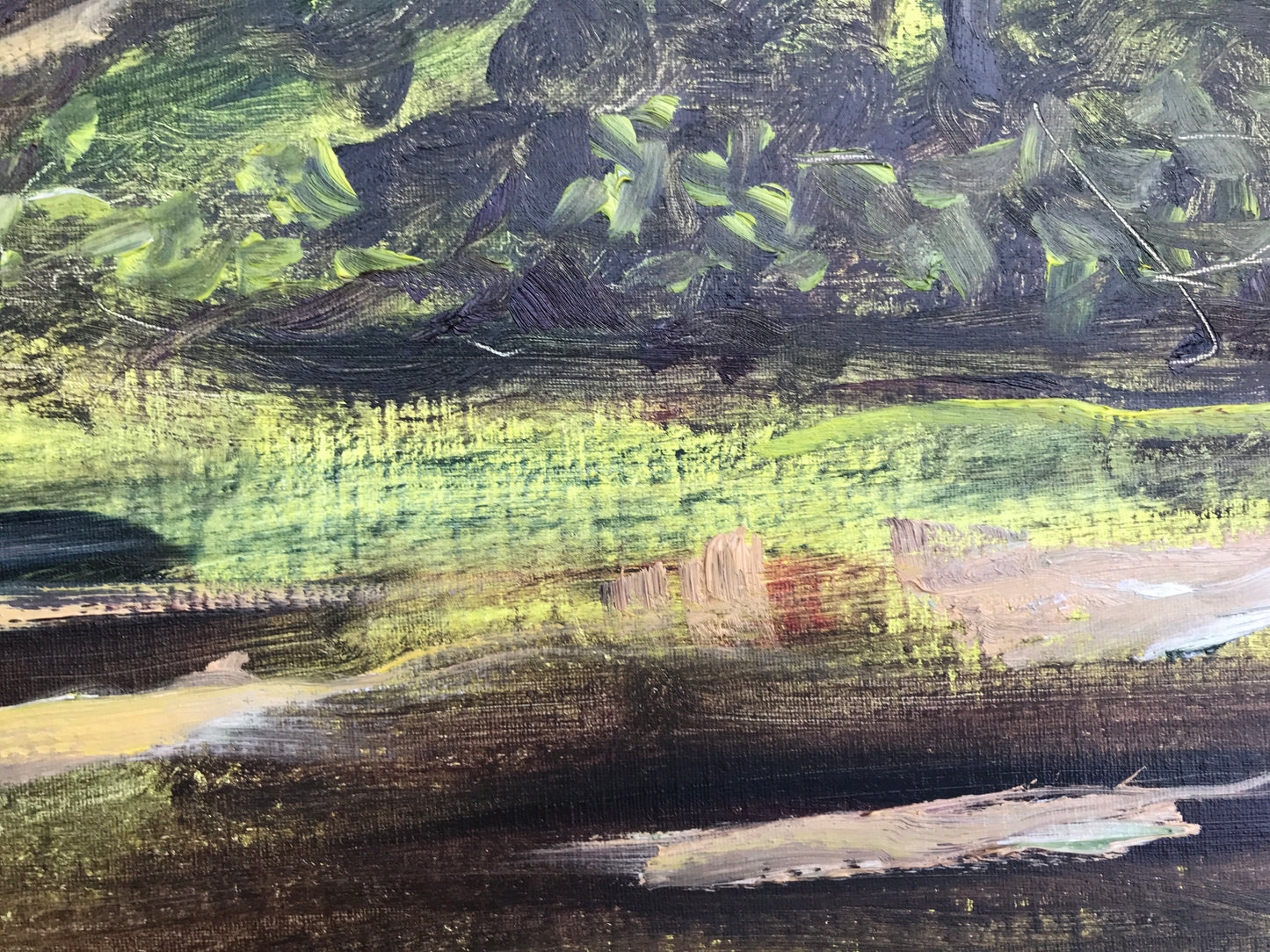 Undergrowth, Late Afternoon, July 31st, 2021