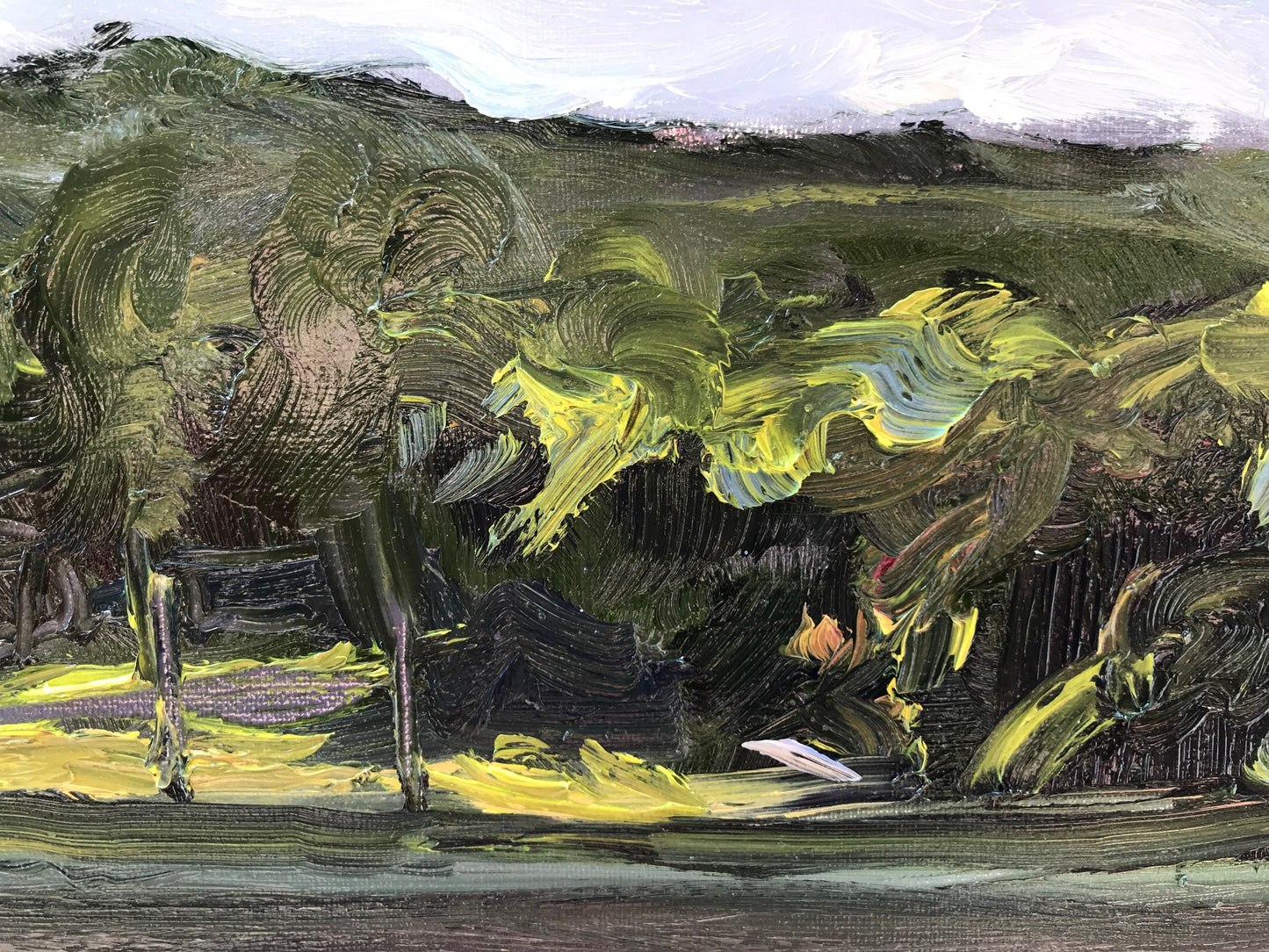 Upton Lake, September 6th, 2021