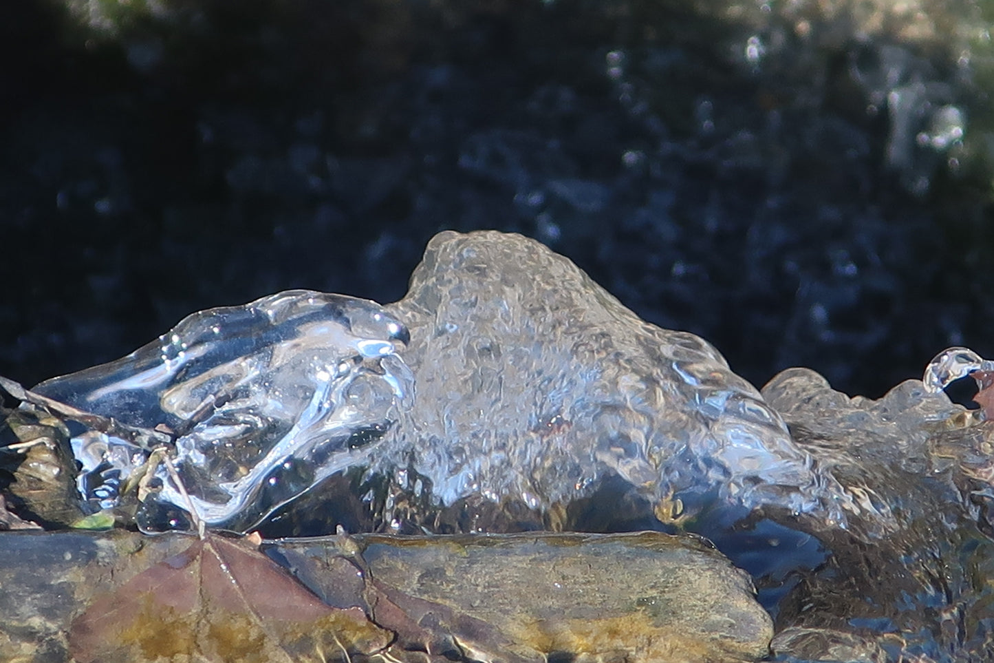 Ambiguity Series #10 (Ice Coated Rock) 2/20