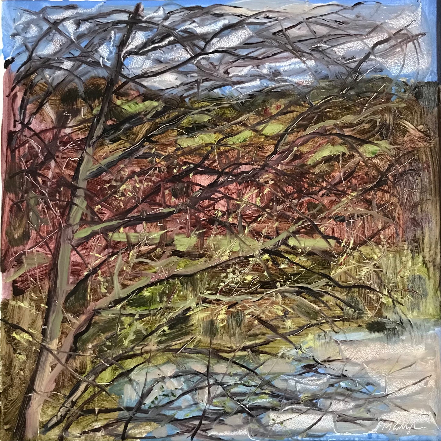 Tree Branches, 7:45, April 16th, 2023