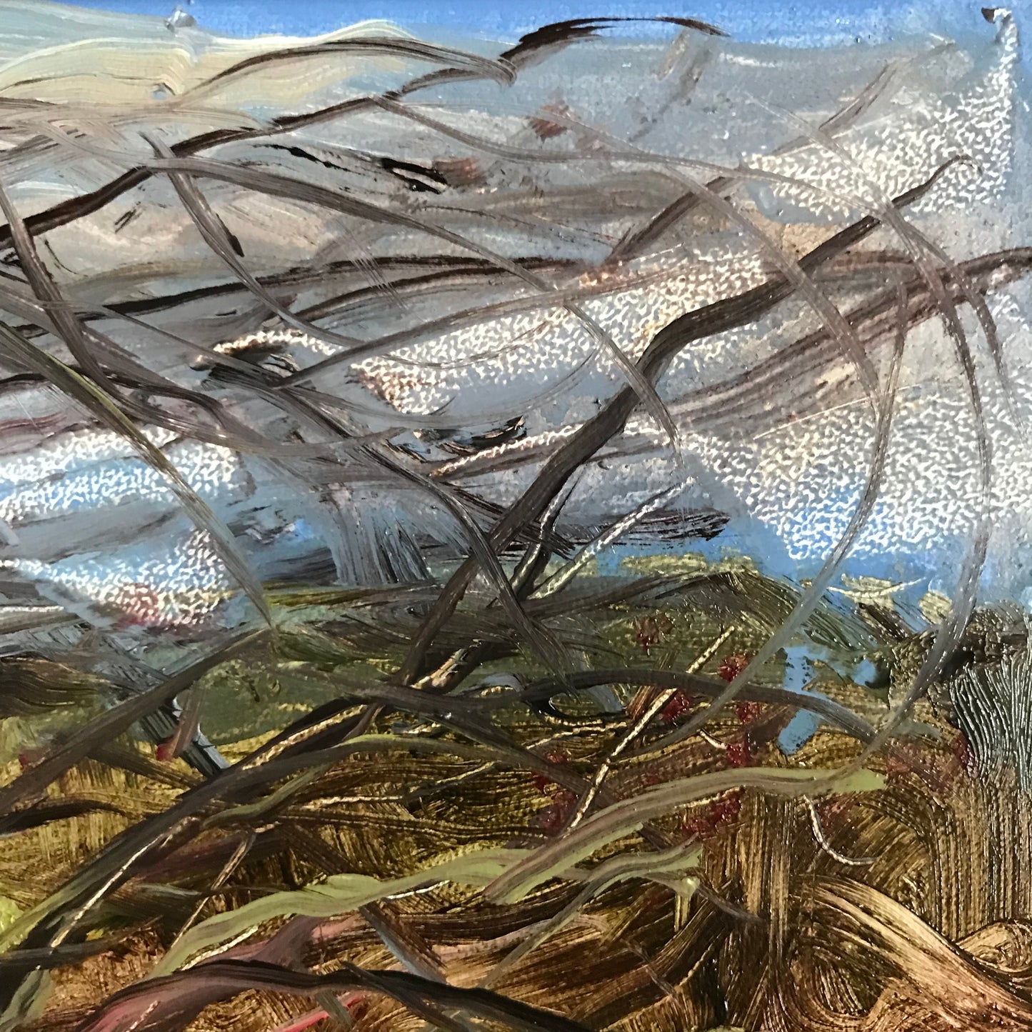 Tree Branches, 7:45, April 16th, 2023