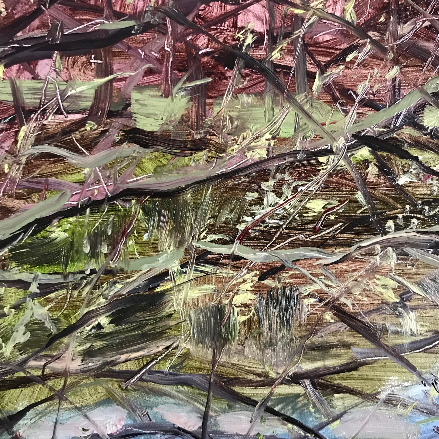 Tree Branches, 7:45, April 16th, 2023