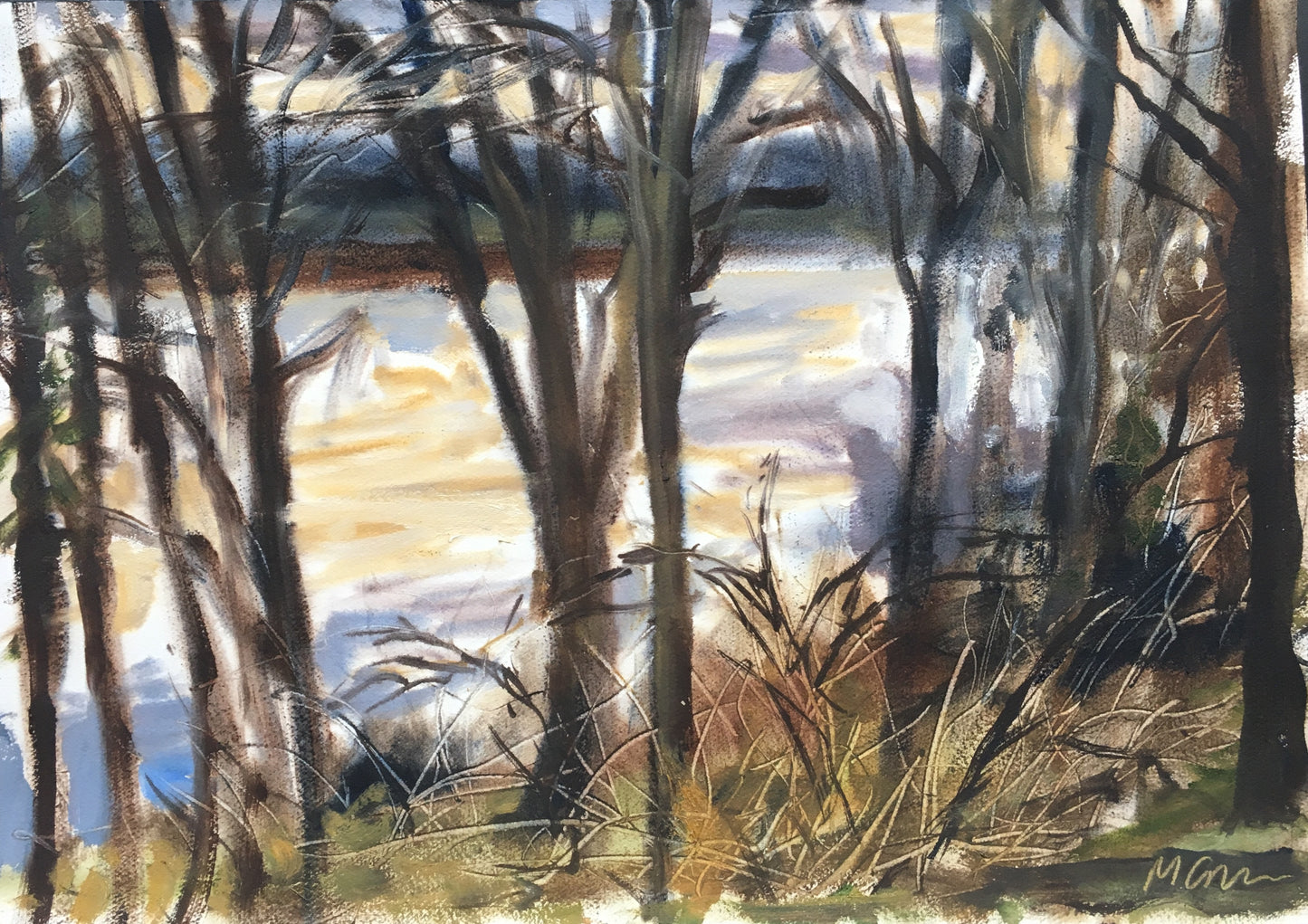 Winter Scene, 2:00 pm. December 26th 2019