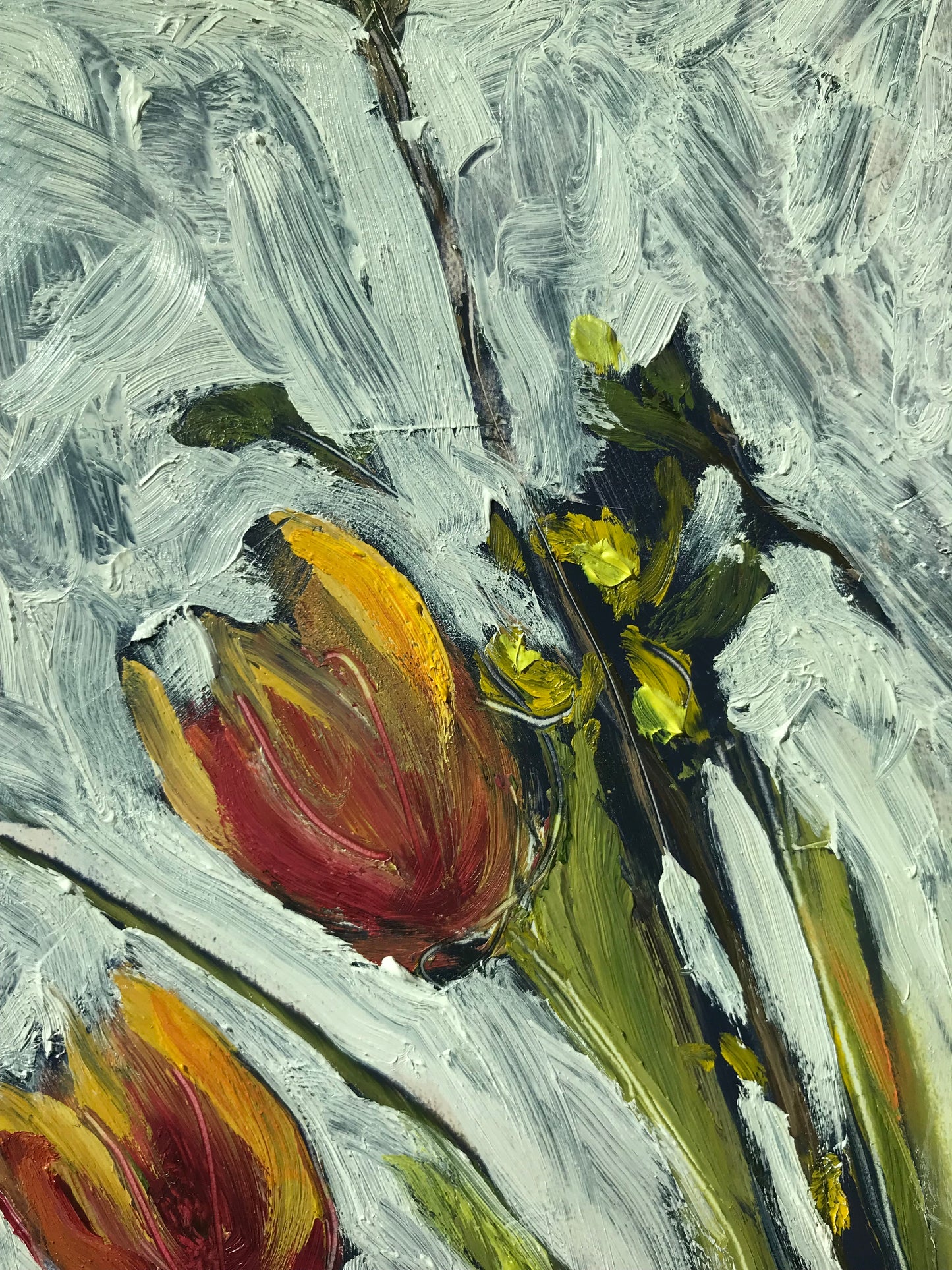 Tulips and Forsythia, April 16th, 2023