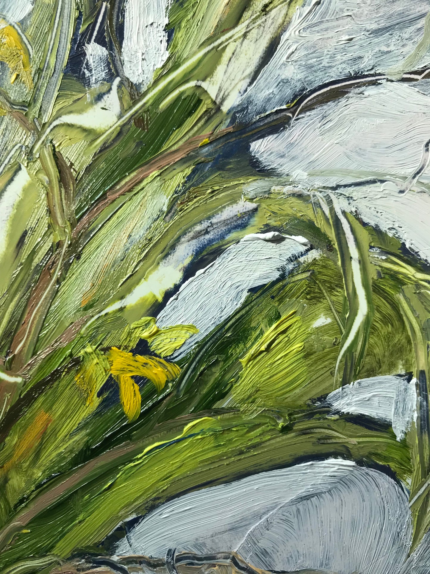 Tulips and Forsythia, April 16th, 2023