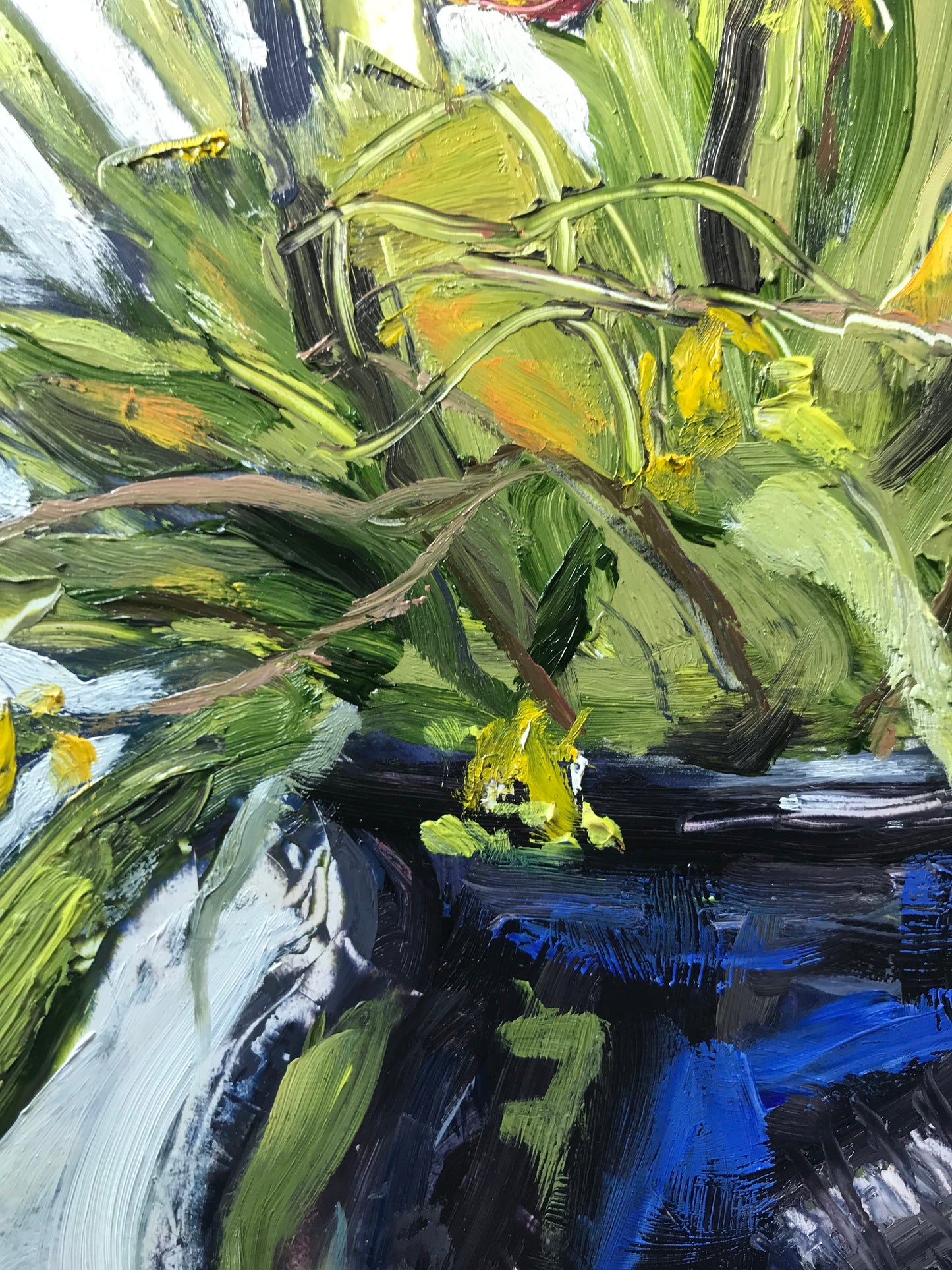 Tulips and Forsythia, April 16th, 2023
