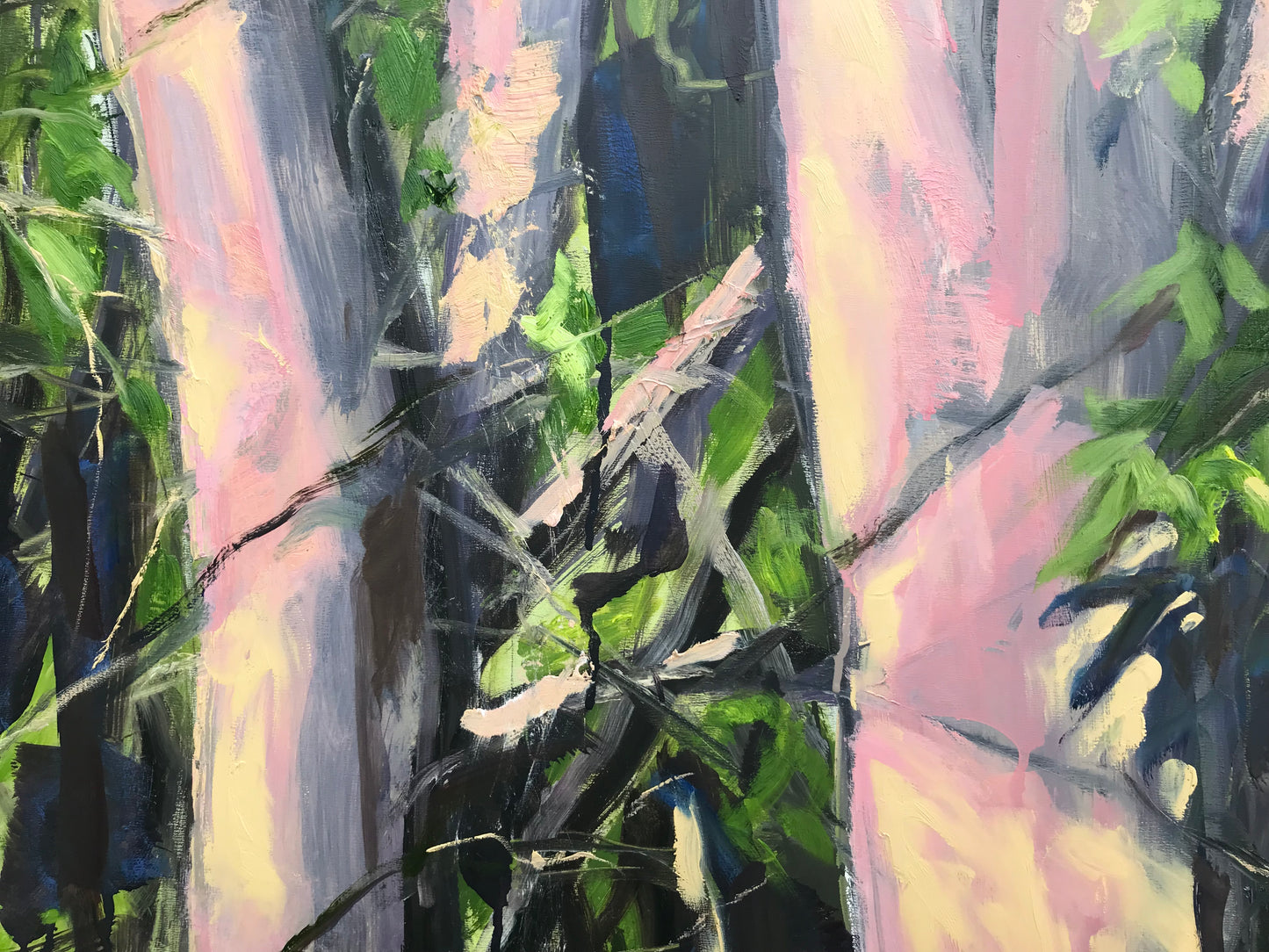 Golden Hour Trees, May 21st 2023