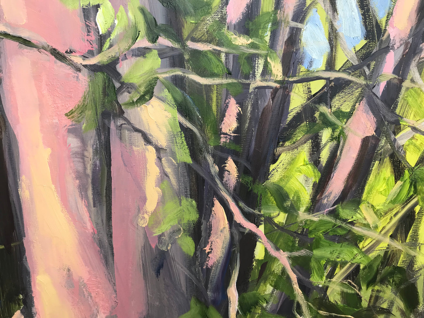 Golden Hour Trees, May 21st 2023