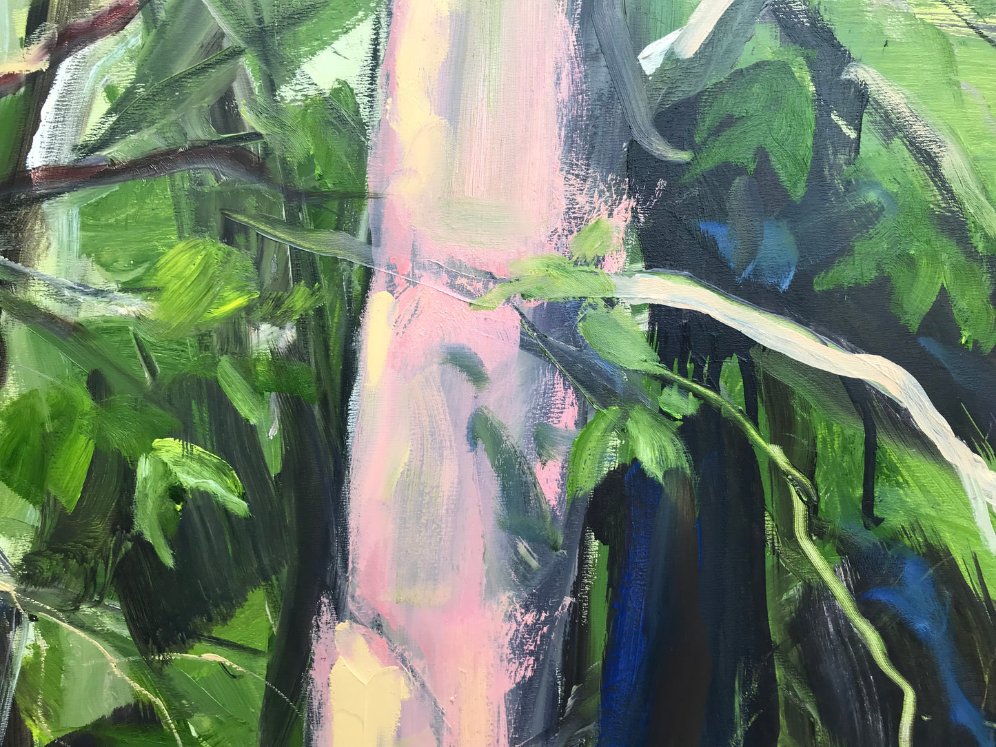 Golden Hour Trees, May 21st 2023