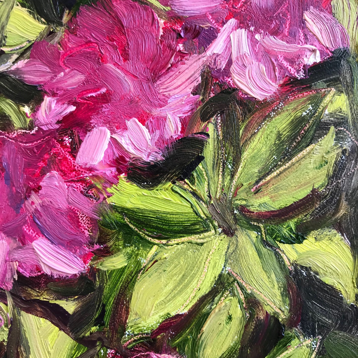 Rhododendrons, Memorial Day, 2023