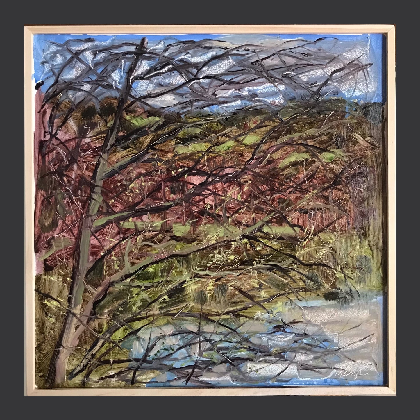 Tree Branches, 7:45, April 16th, 2023