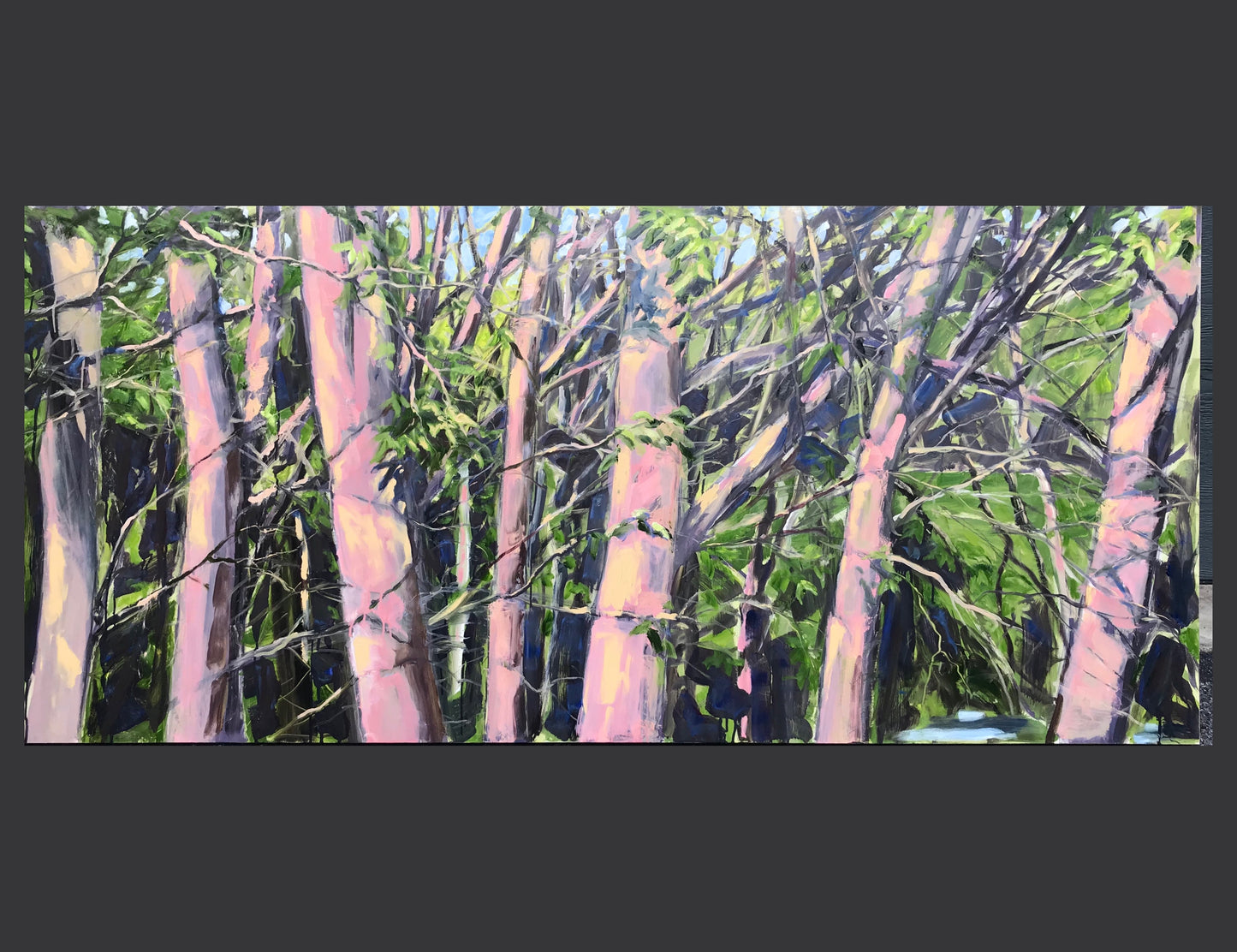 Golden Hour Trees, May 21st 2023