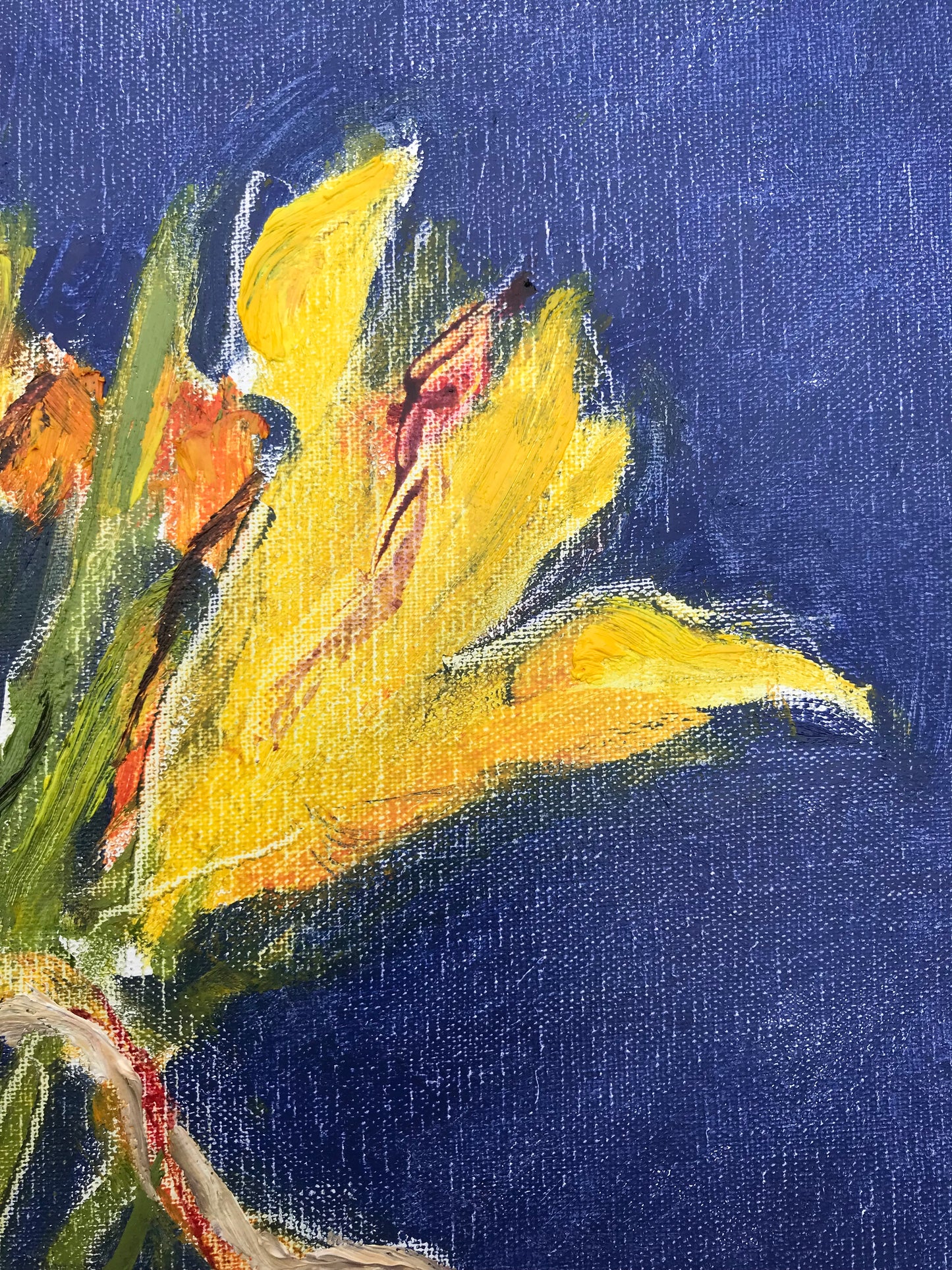 Daylilies, July 1st, 2023