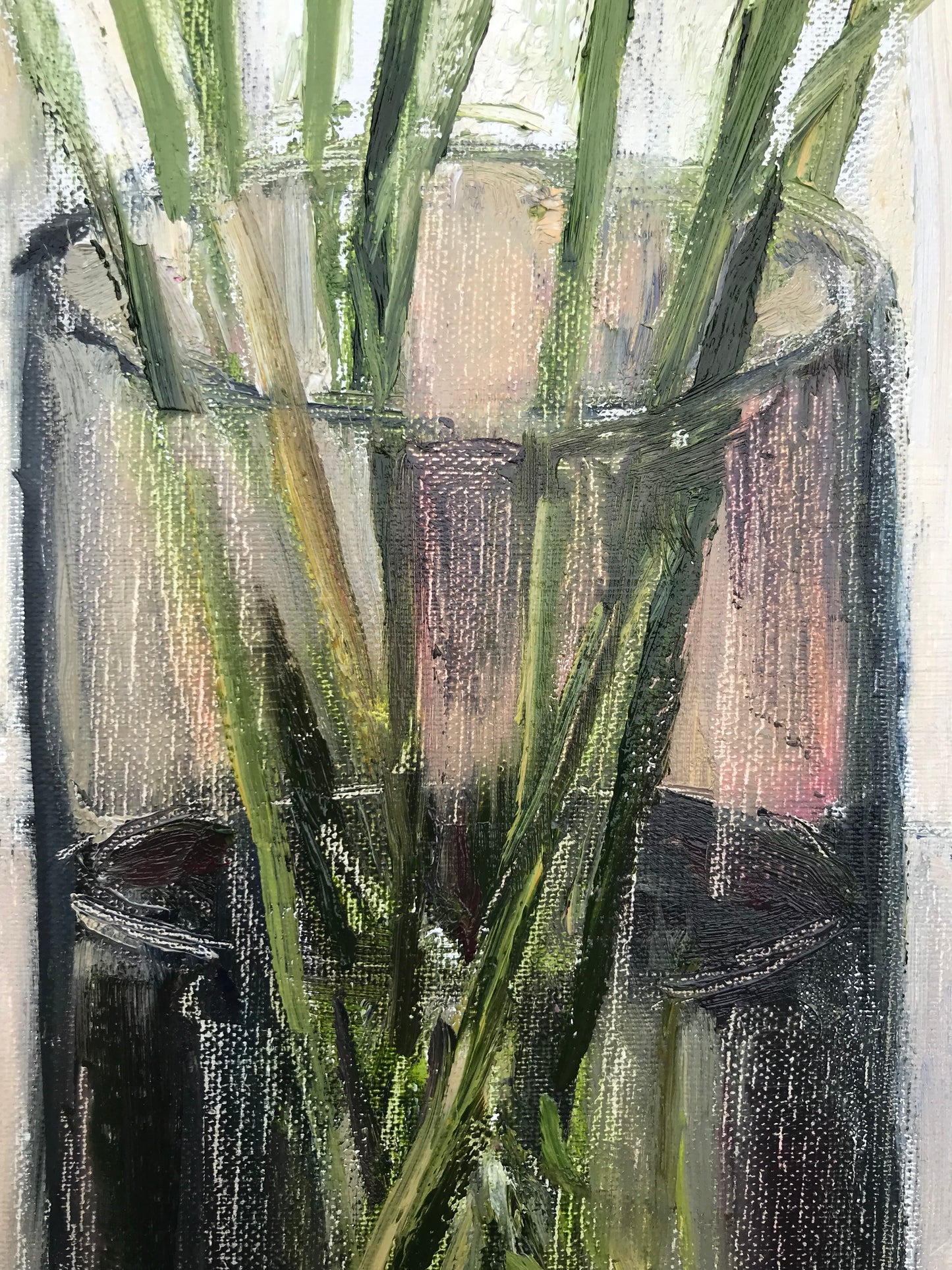 Daylilies, July 1st, 2023