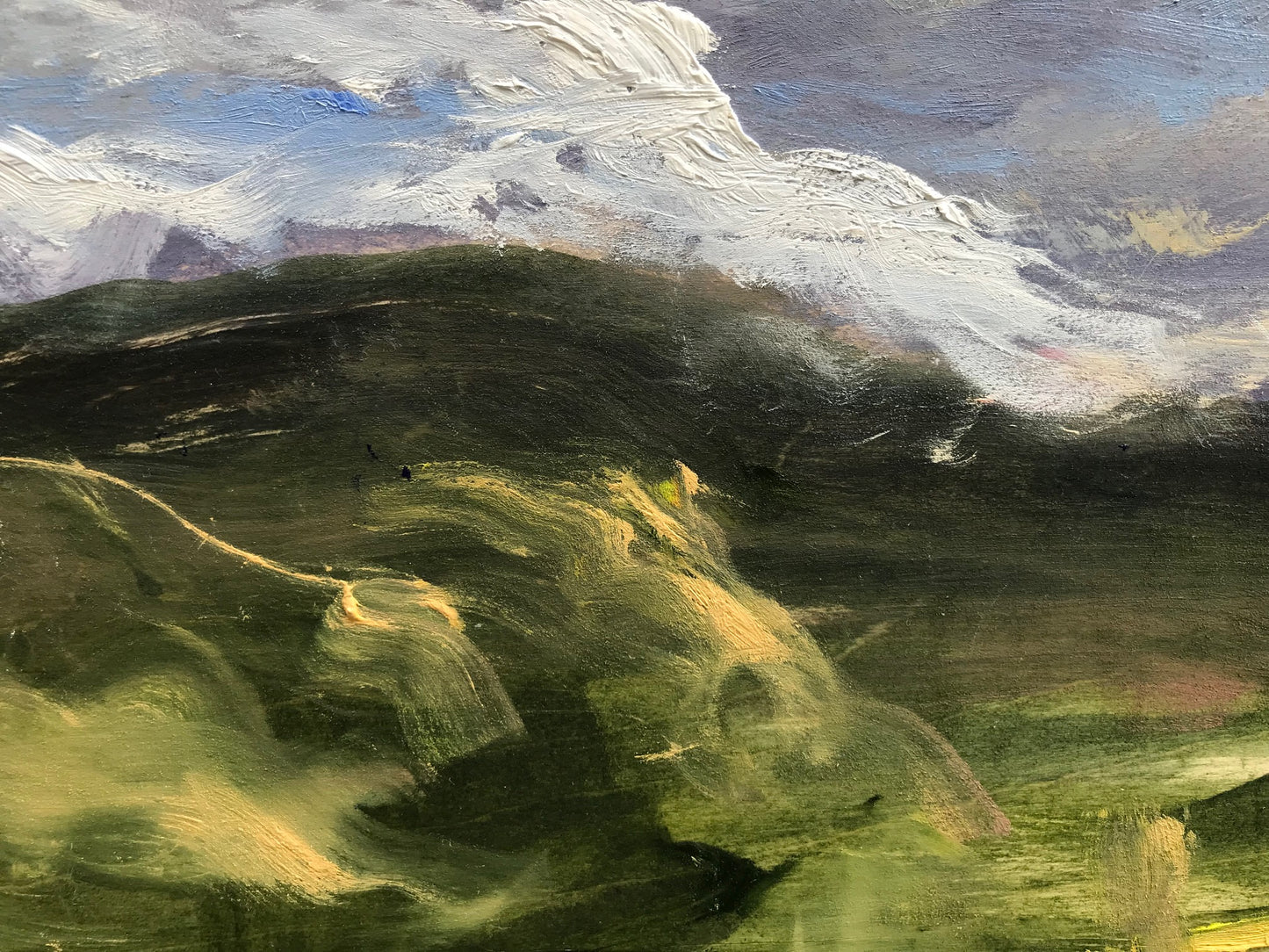 Early Morning - After the Storm, July 3rd, 2023
