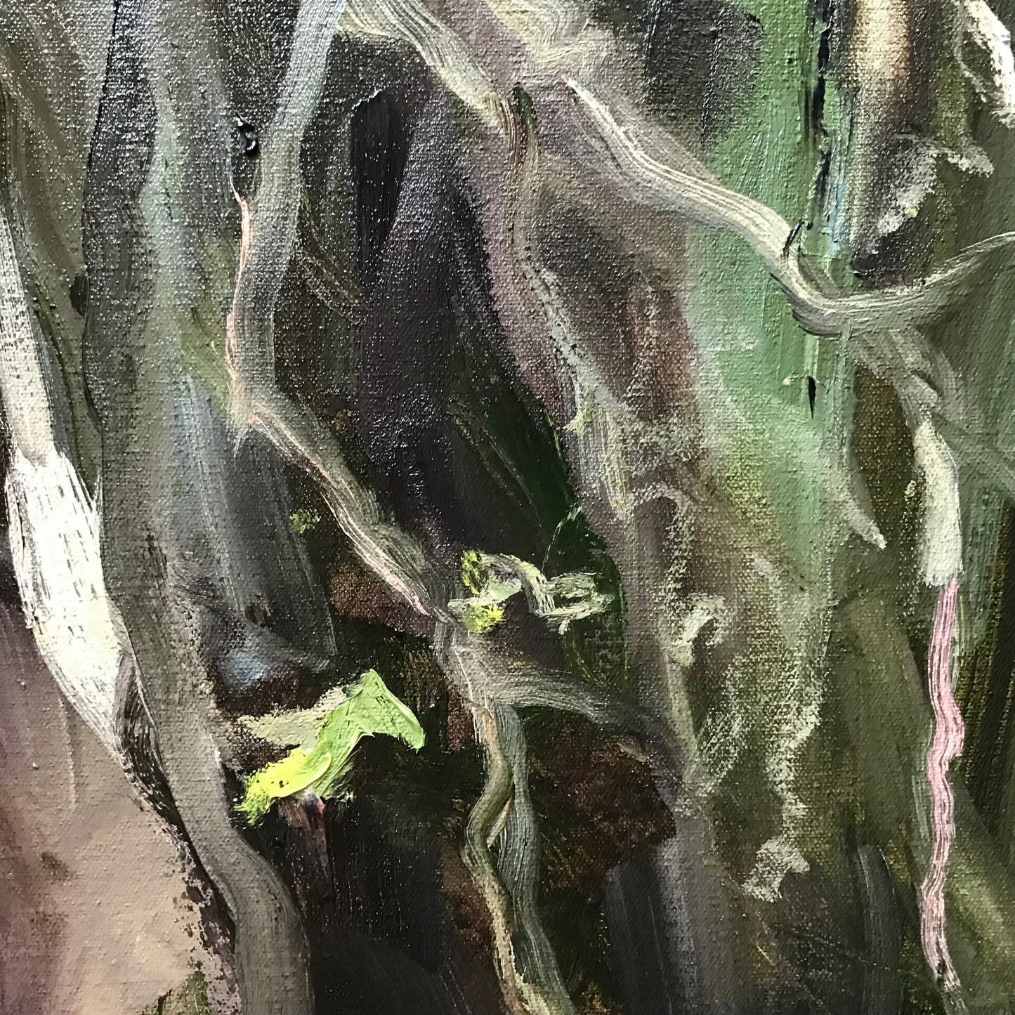 Into the Woods