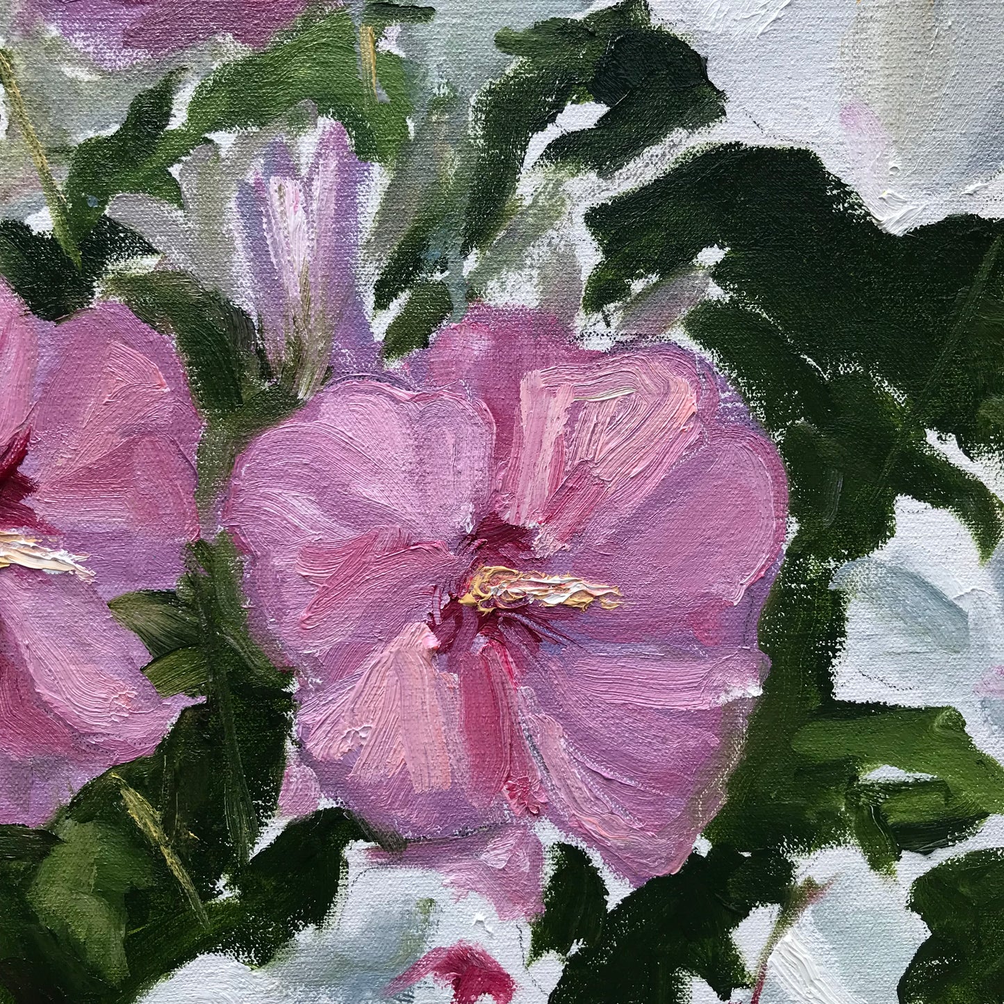 Hibiscus, July 23rd, 2023