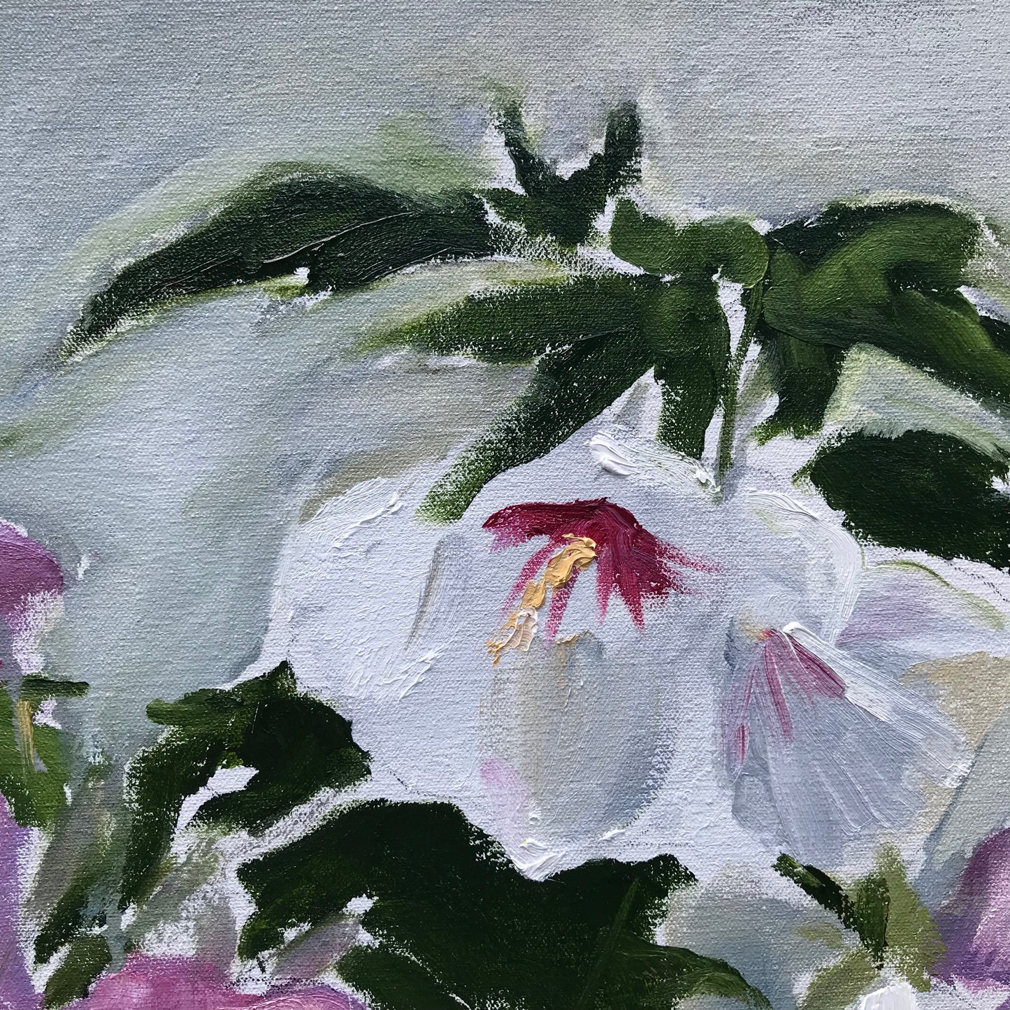 Hibiscus, July 23rd, 2023