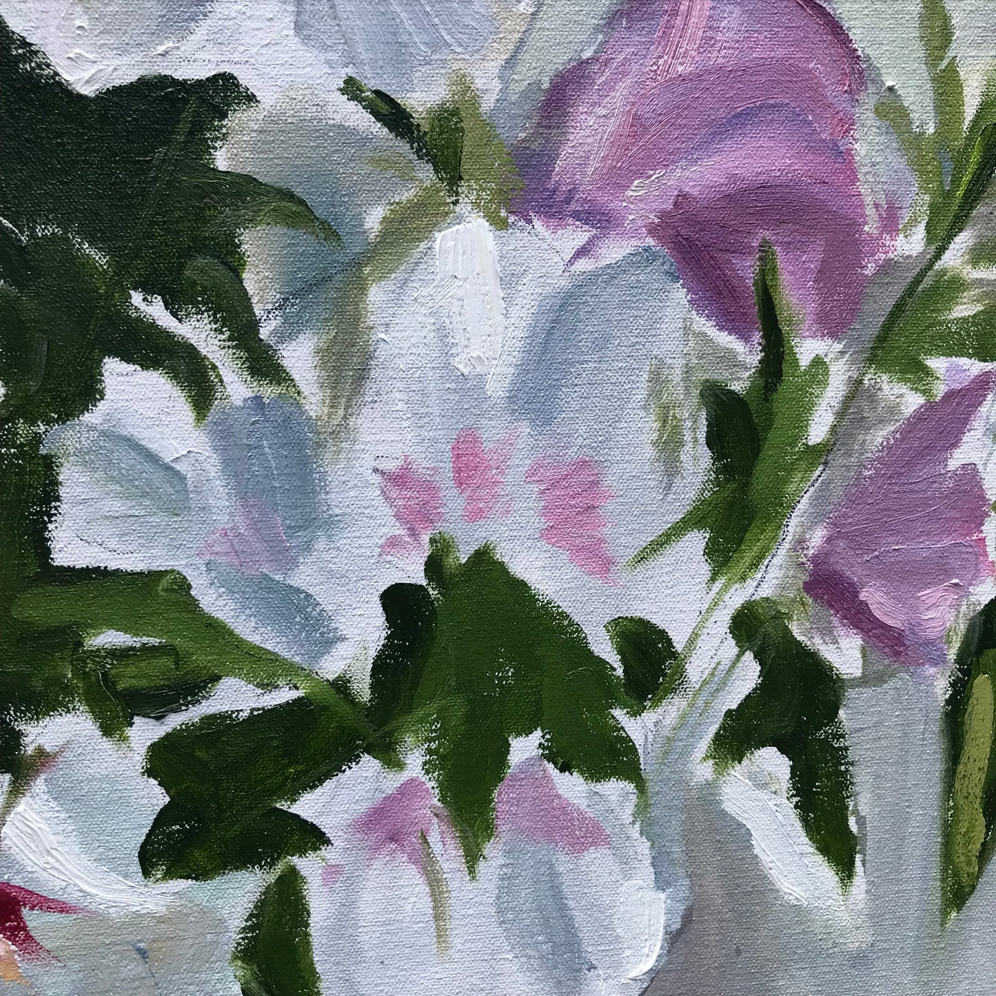 Hibiscus, July 23rd, 2023
