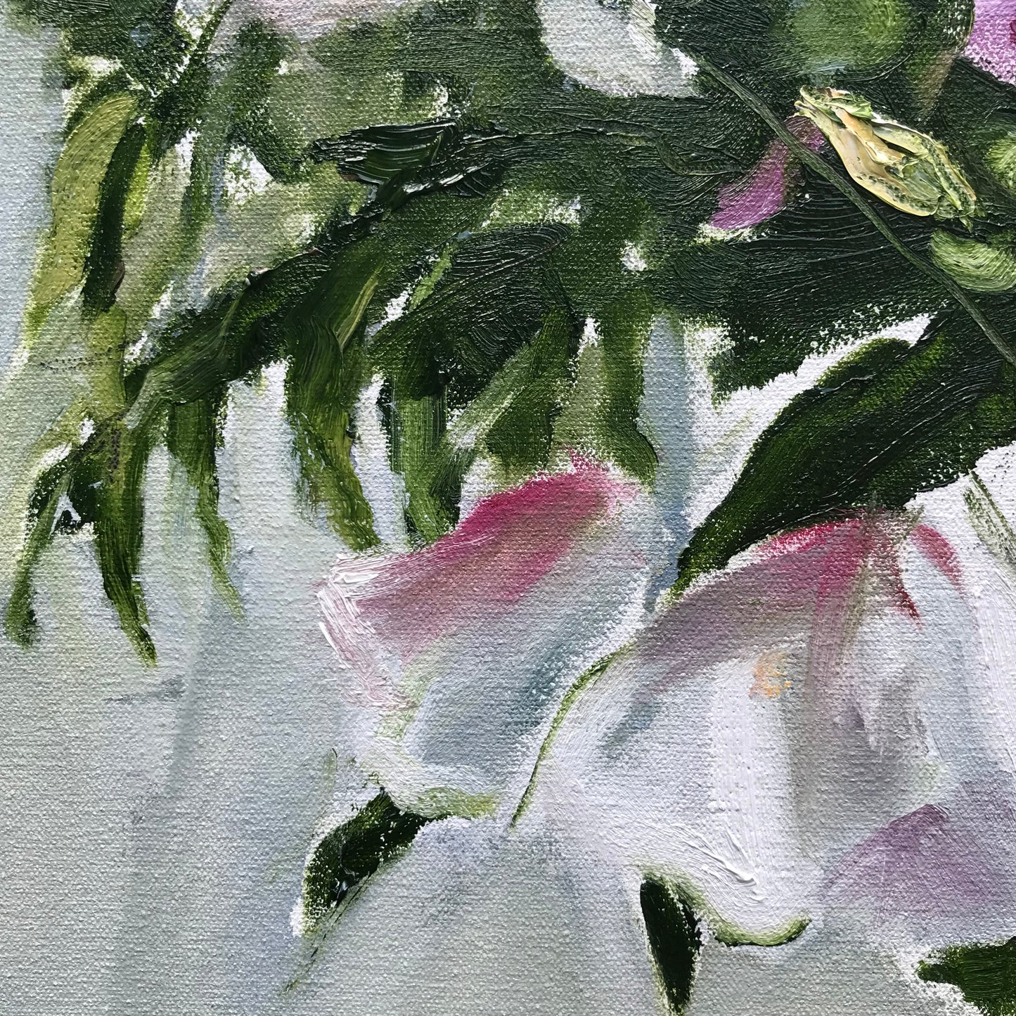 Hibiscus, July 23rd, 2023