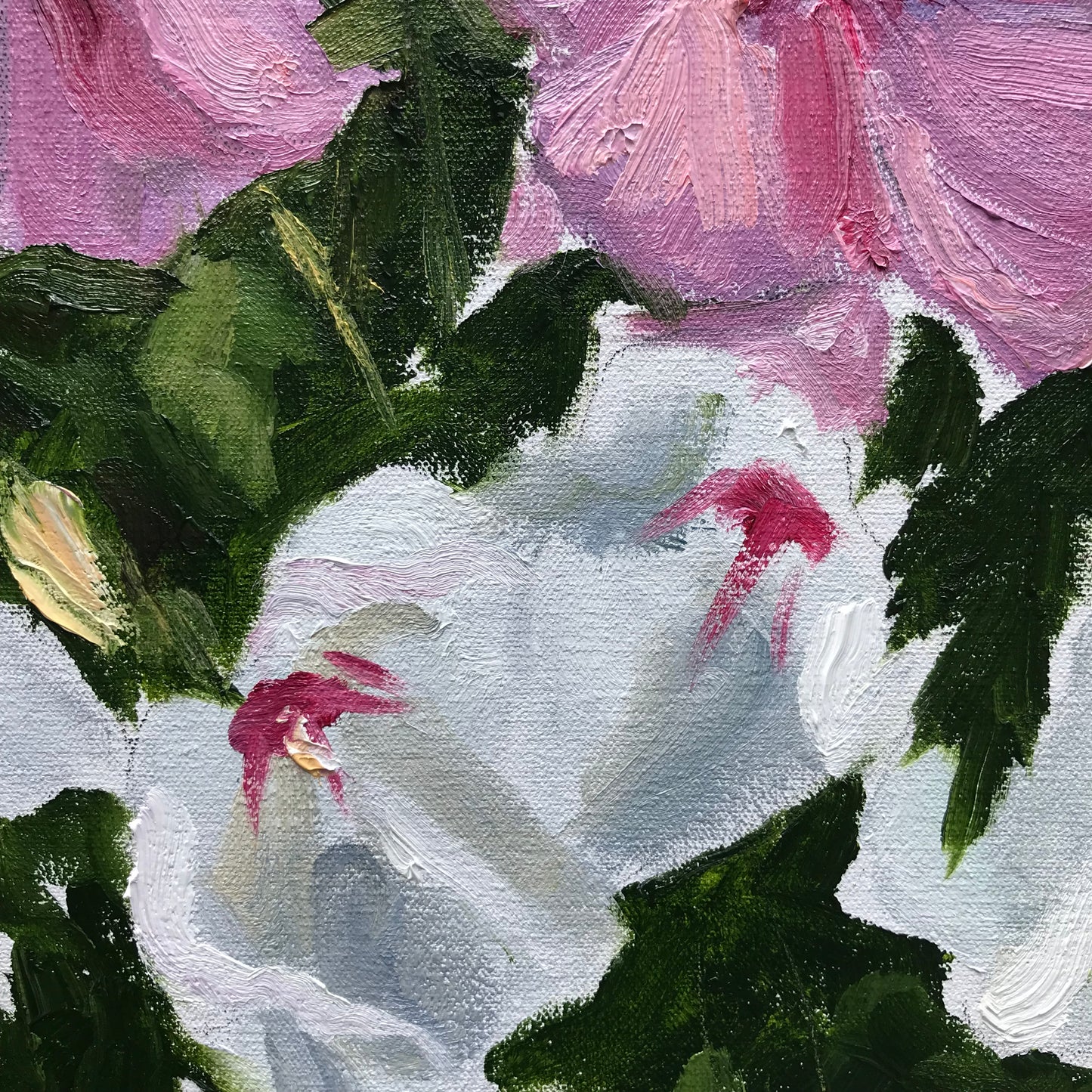 Hibiscus, July 23rd, 2023