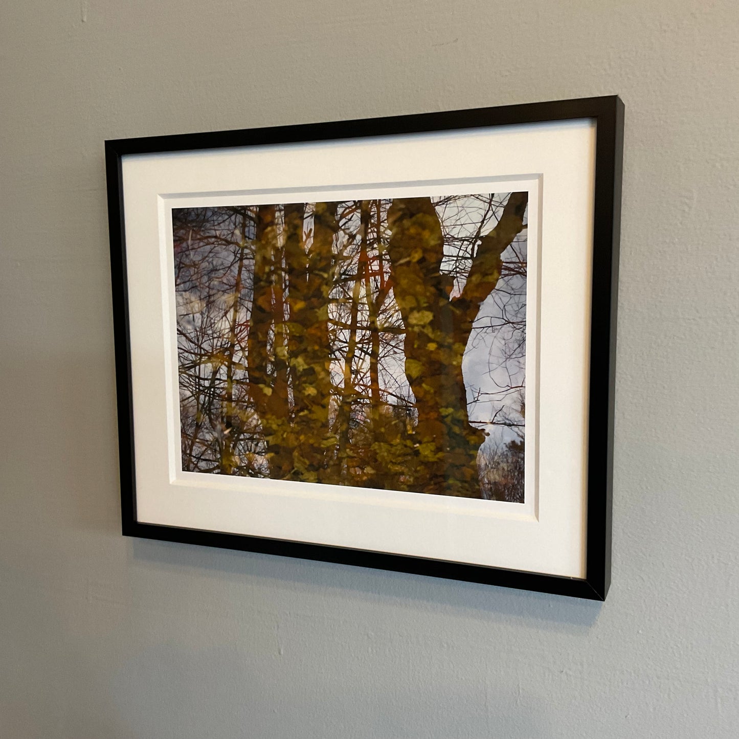 Ambiguity Series #16 (Reflection: Trees on Leaves) 1/20