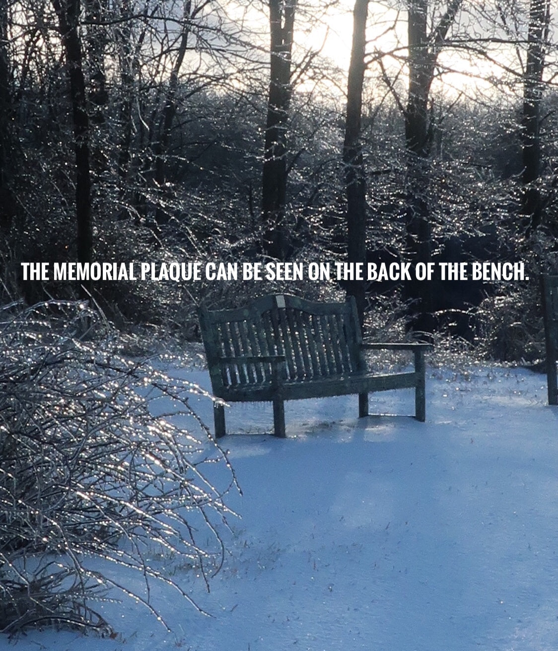 Ambiguity Series #13 (Reflection: Ice-Coated Memorial Plaque) 1/20