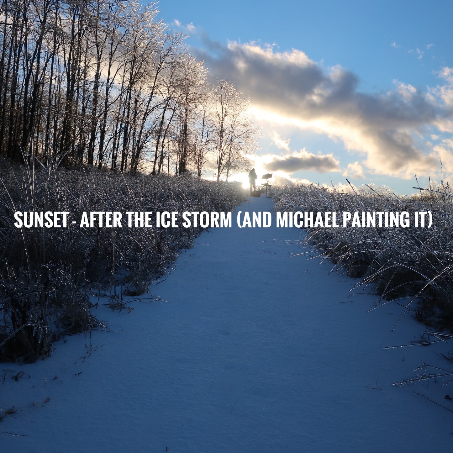 Ambiguity Series #13 (Reflection: Ice-Coated Memorial Plaque) 1/20