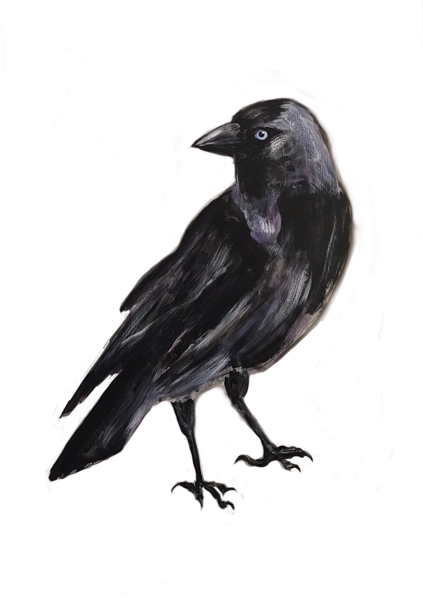 Jackdaw Gallery