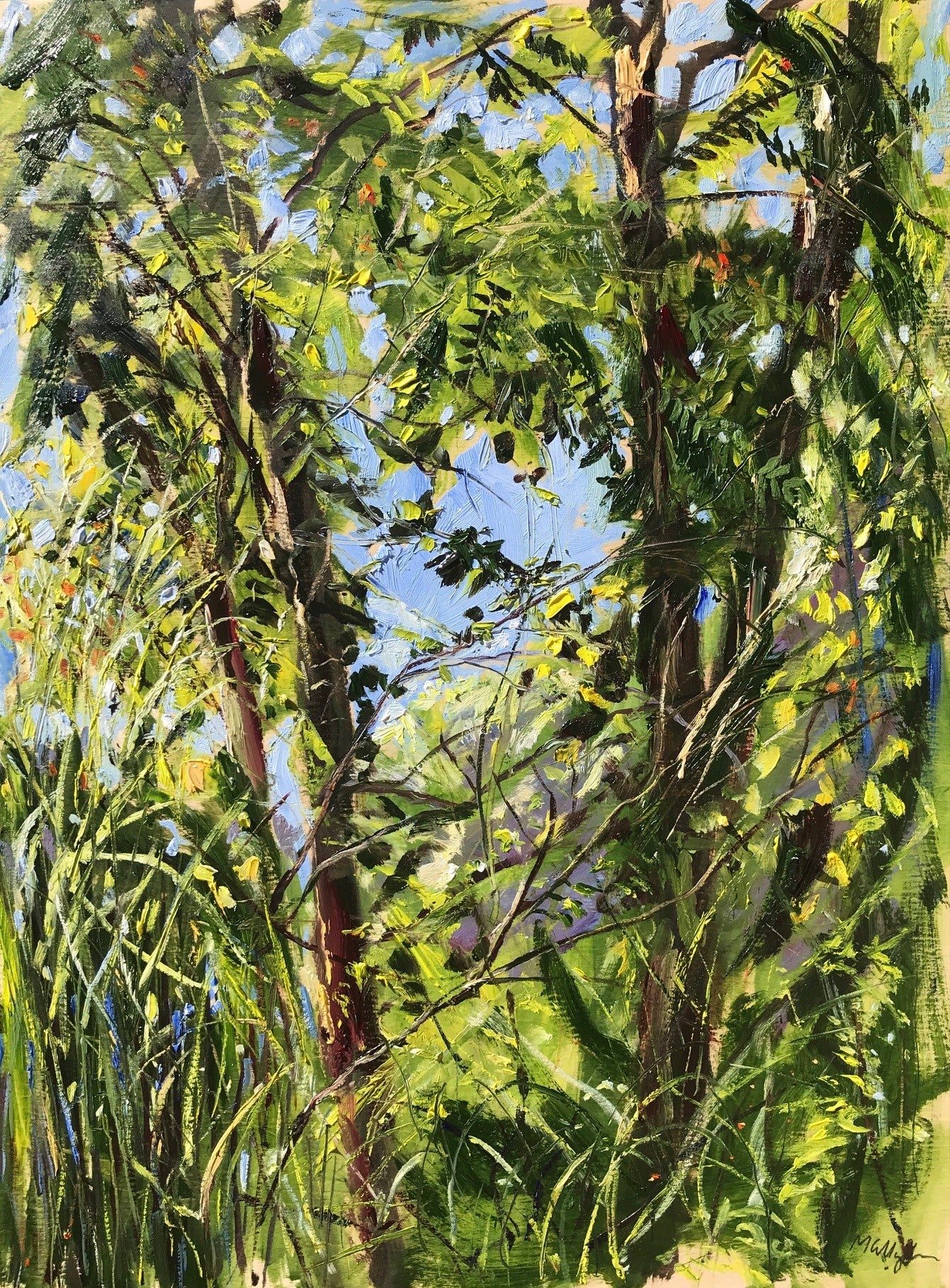Foliage, September 19, 2021