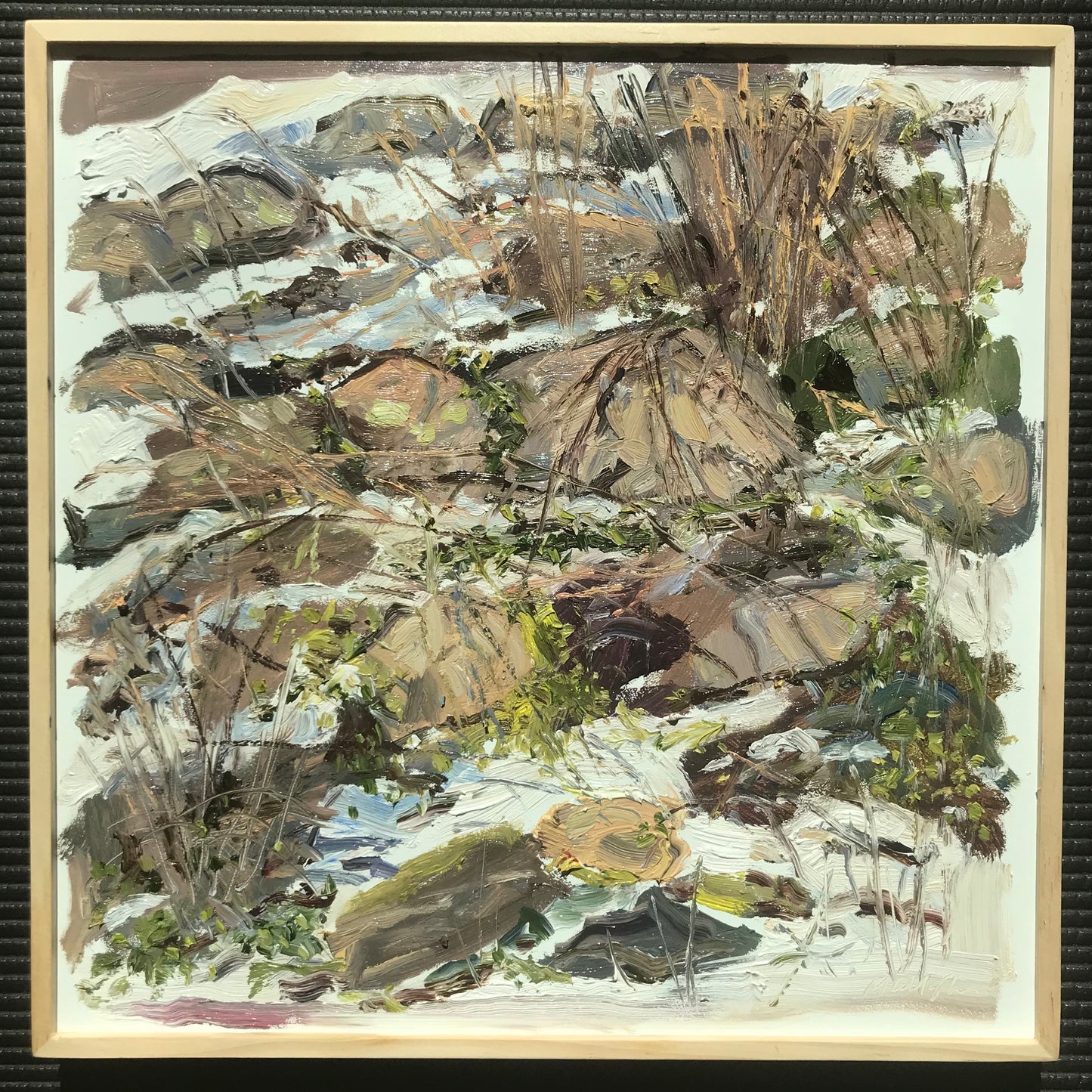 Rock Garden - remains of snow, March 5th, 2023