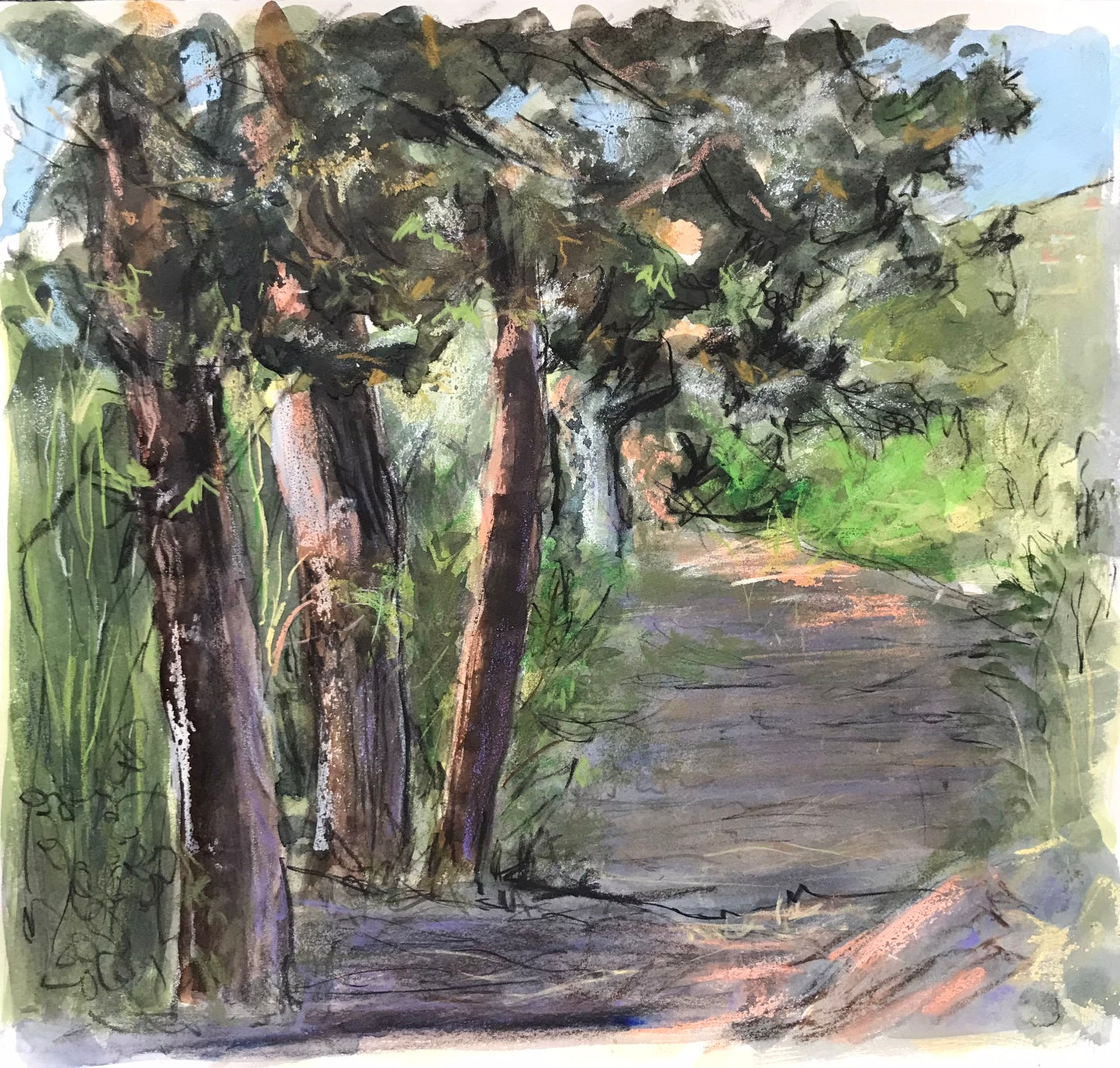 Side Path, Villa, late afternoon, Caccamo, Sicily, June 14th, 2017