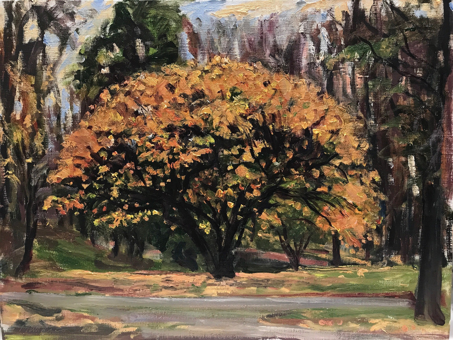 Redbud in Autumn, 6:00 pm, October 24th, 2021
