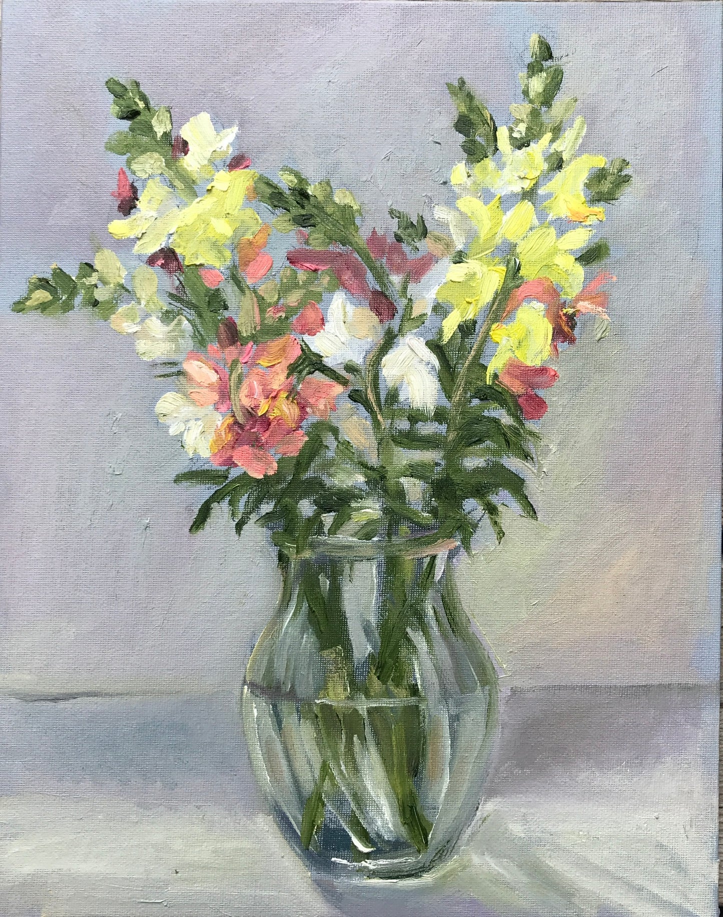 Snapdragons, July 17th, 2022